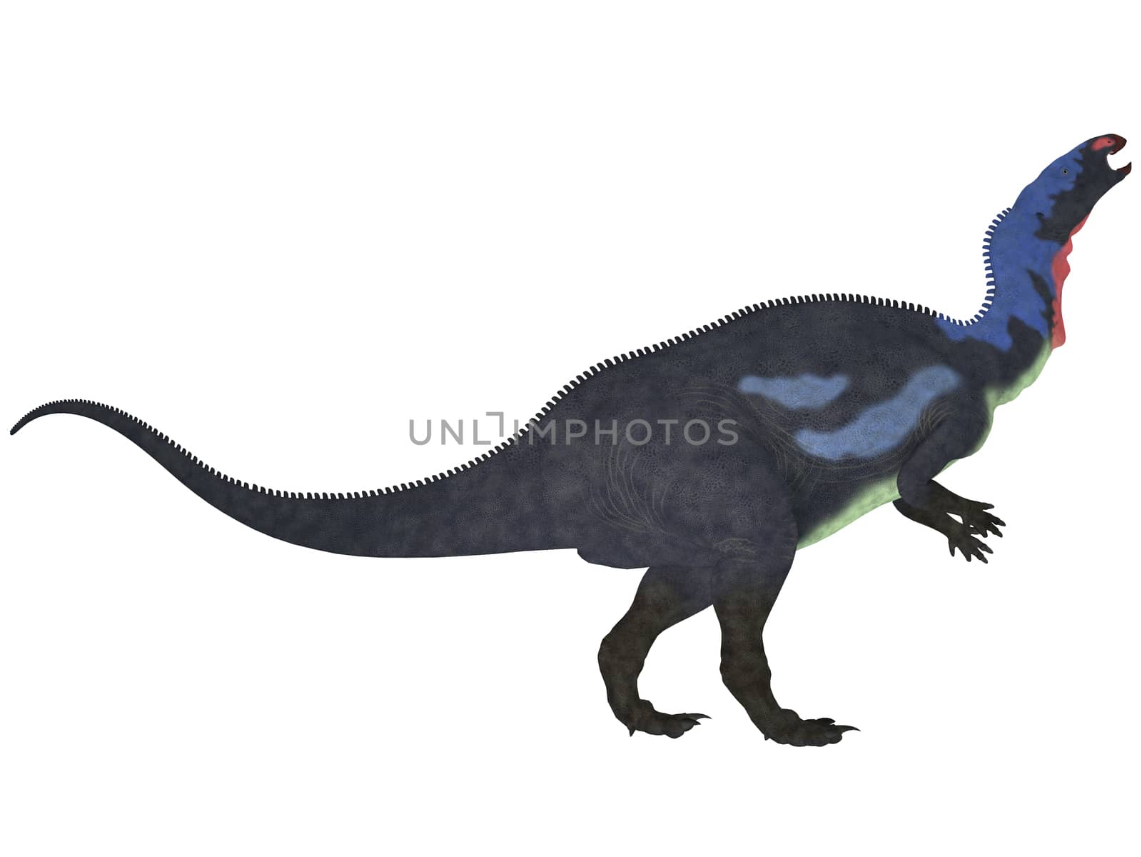 Camptosaurus on White by Catmando