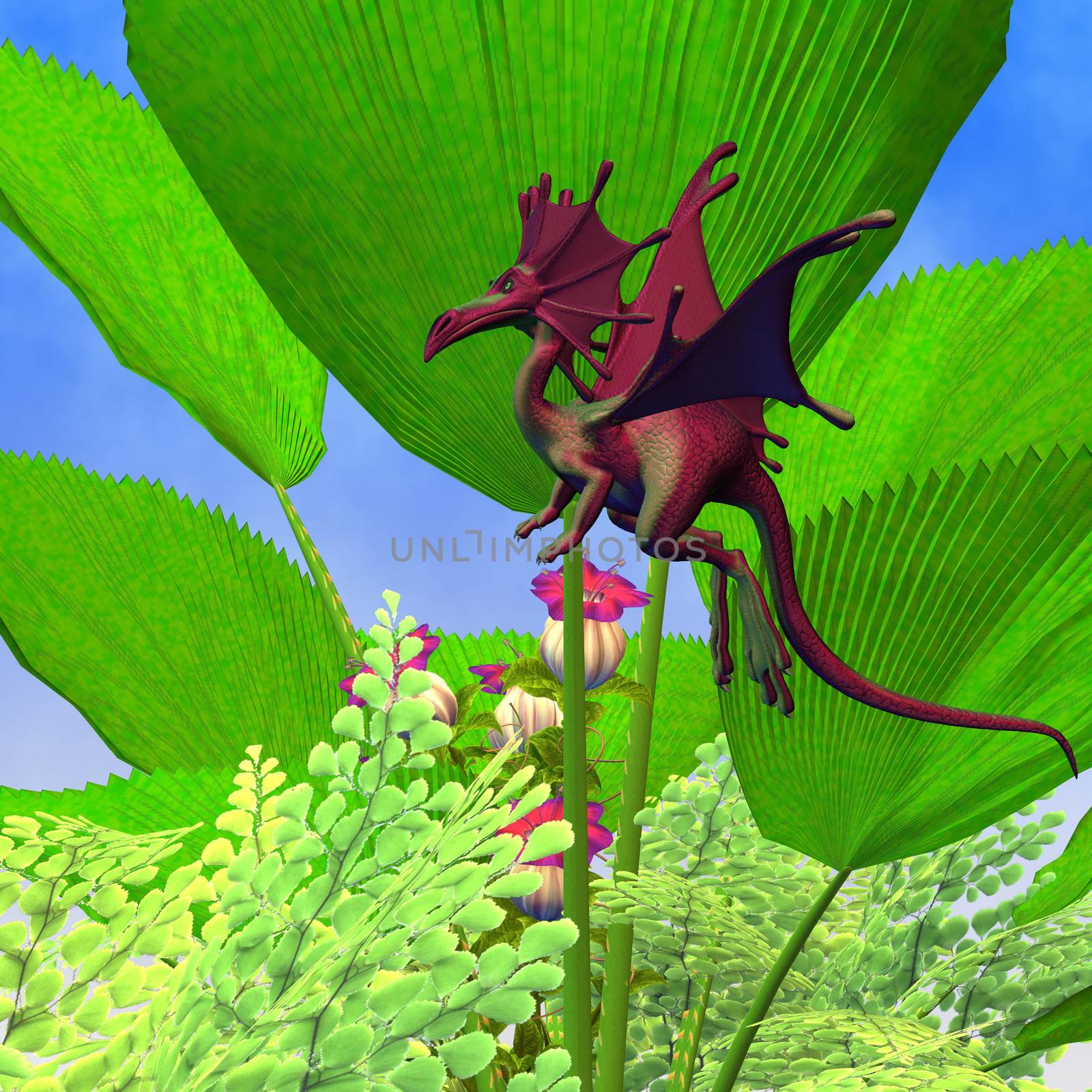 A creature of myth and fantasy the faerie dragon is a friendly animal with horns and wings.