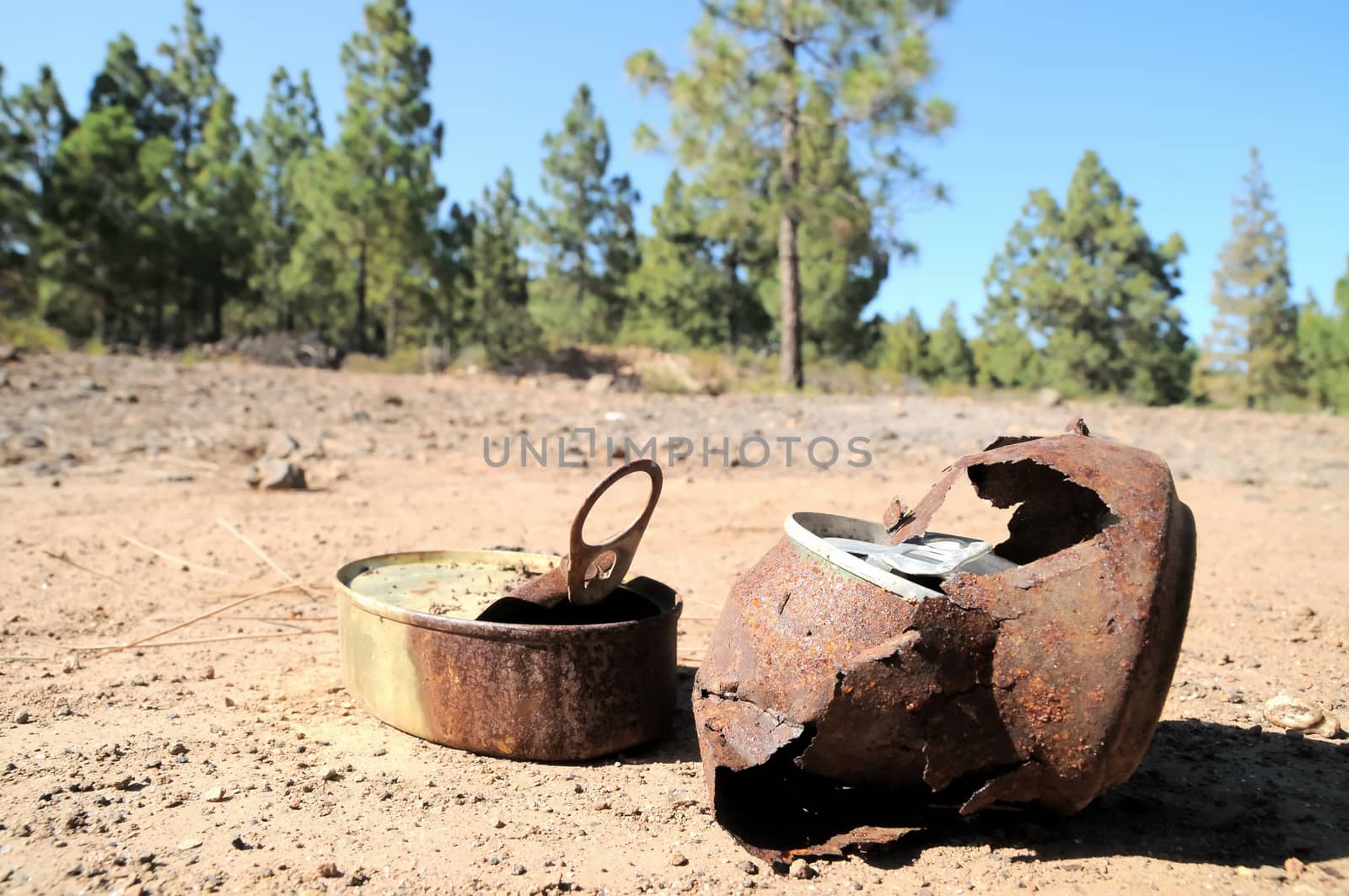 Old Rusty Can on the Floor into the Wild