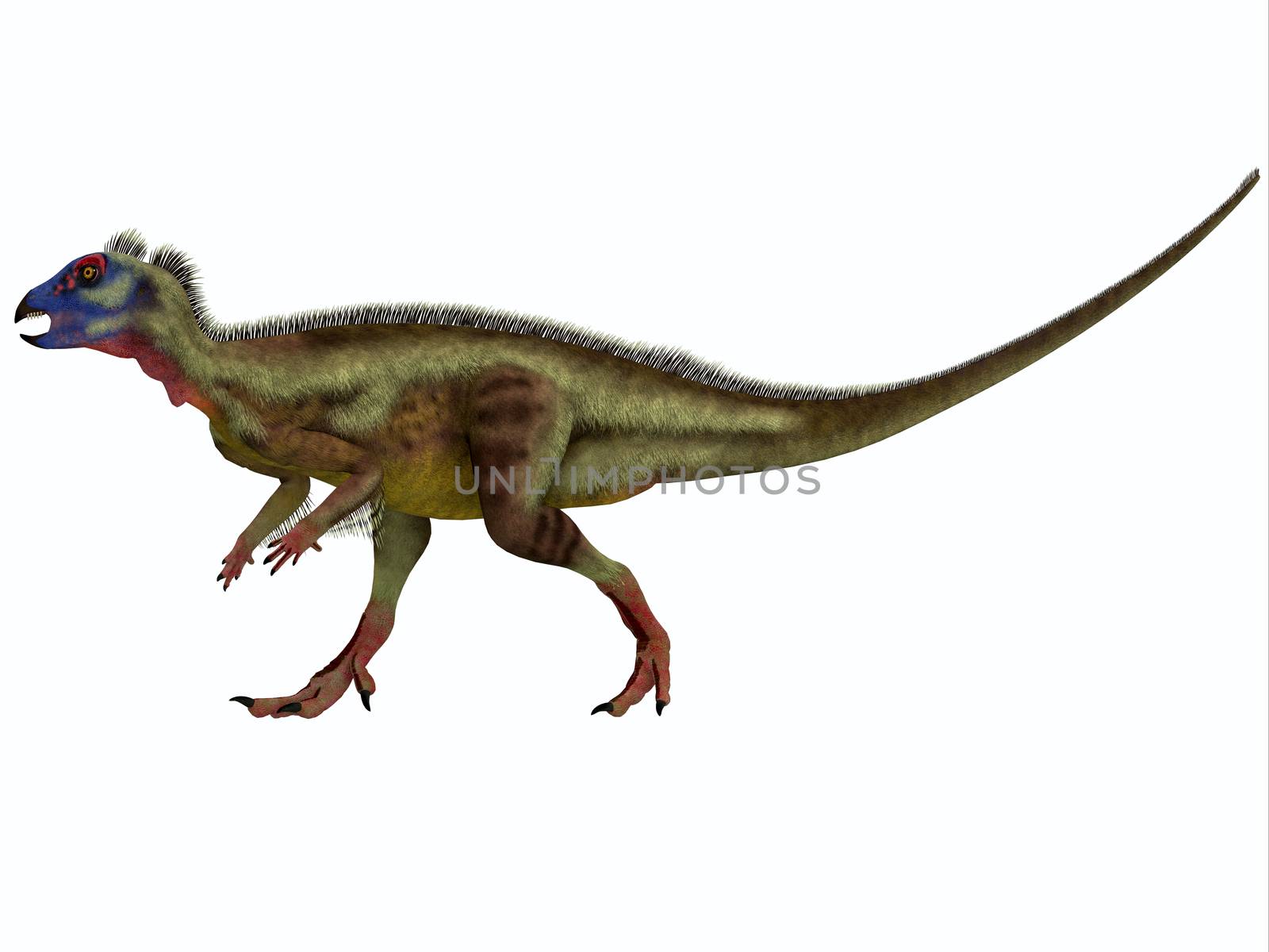 Hypsilophodon is an ornithopod dinosaur from the Early Cretaceous period of Europe.