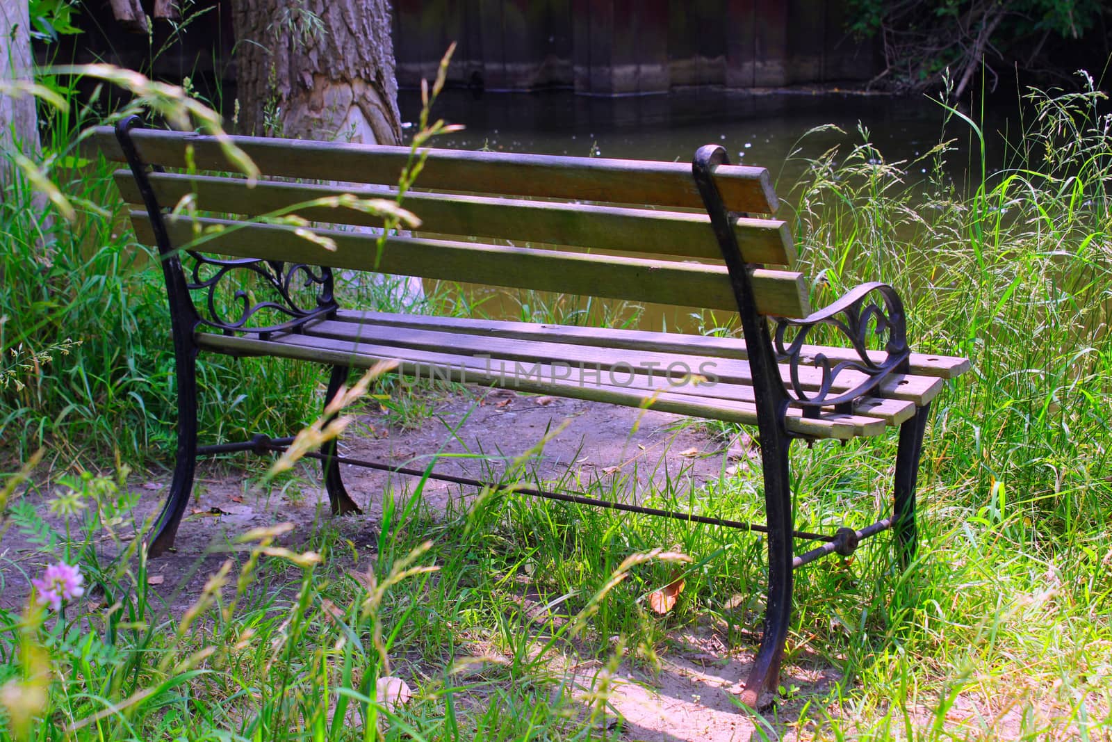 River Fishing Bench by Catmando