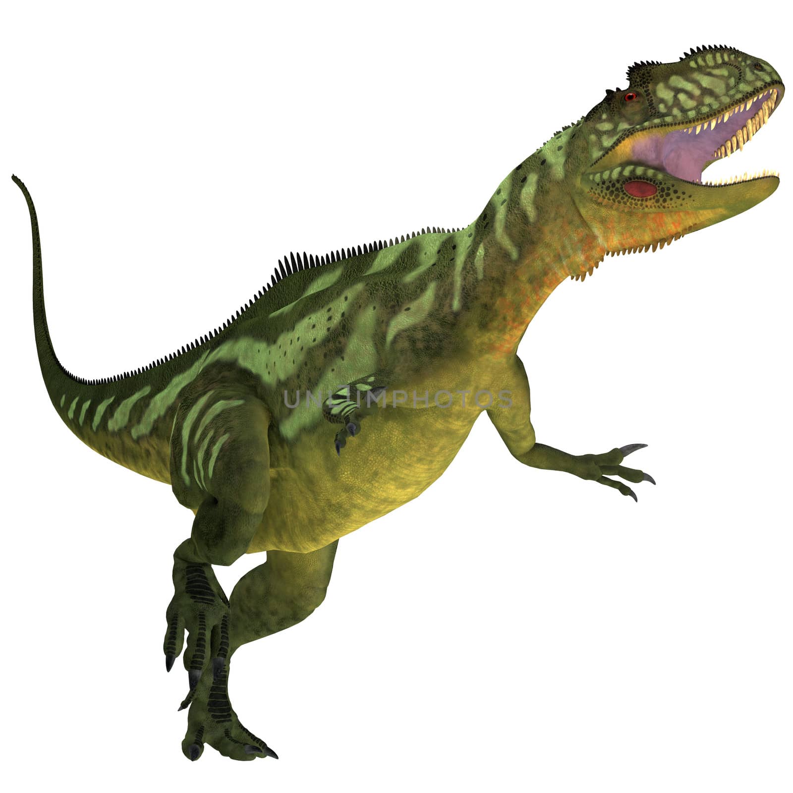 Yangchuanosaurus was a theropod dinosaur that lived in China during the Late Jurassic Era.