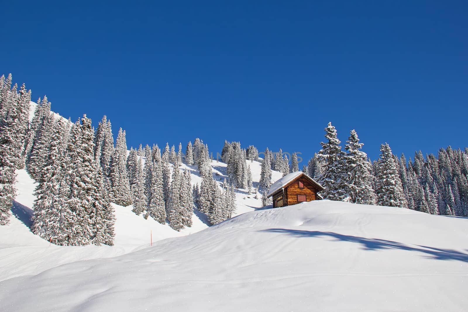 Winter in the swiss alps, Switzerland