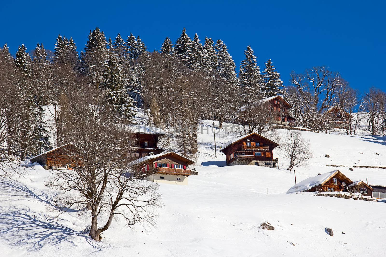 Winter in the swiss alps (Braunwald, Glarus, Switzerland)