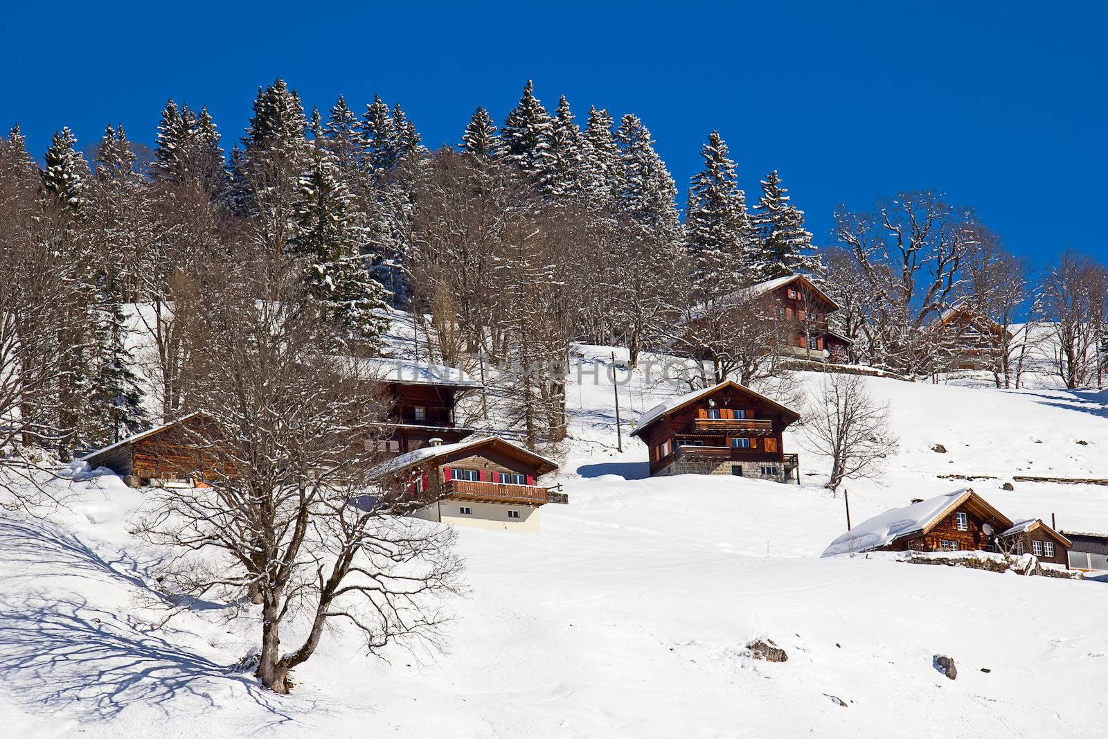 Winter in the alps by swisshippo