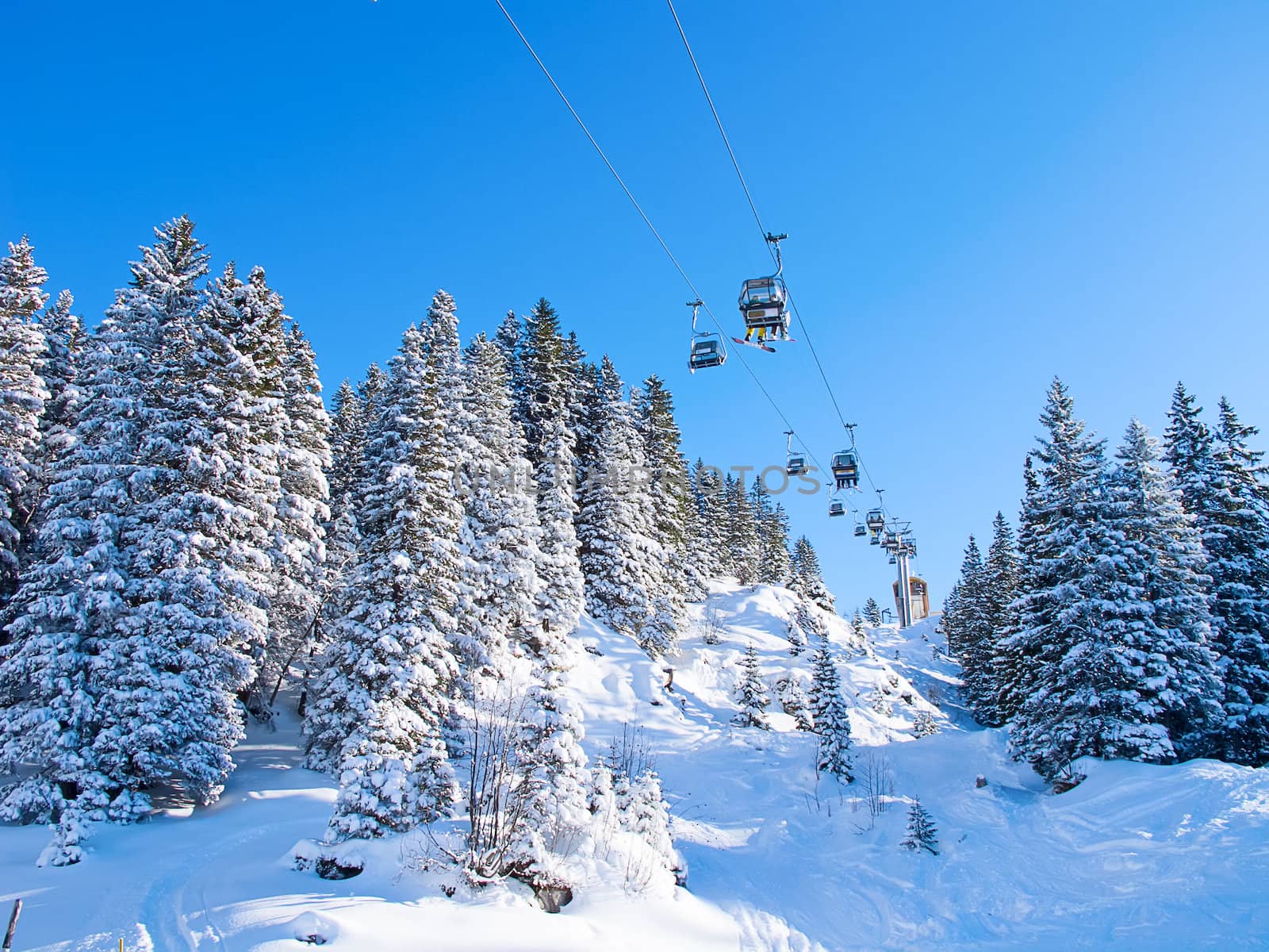 Winter in the swiss alps (Melchsee-Frutt, Luzern, Switzerland)