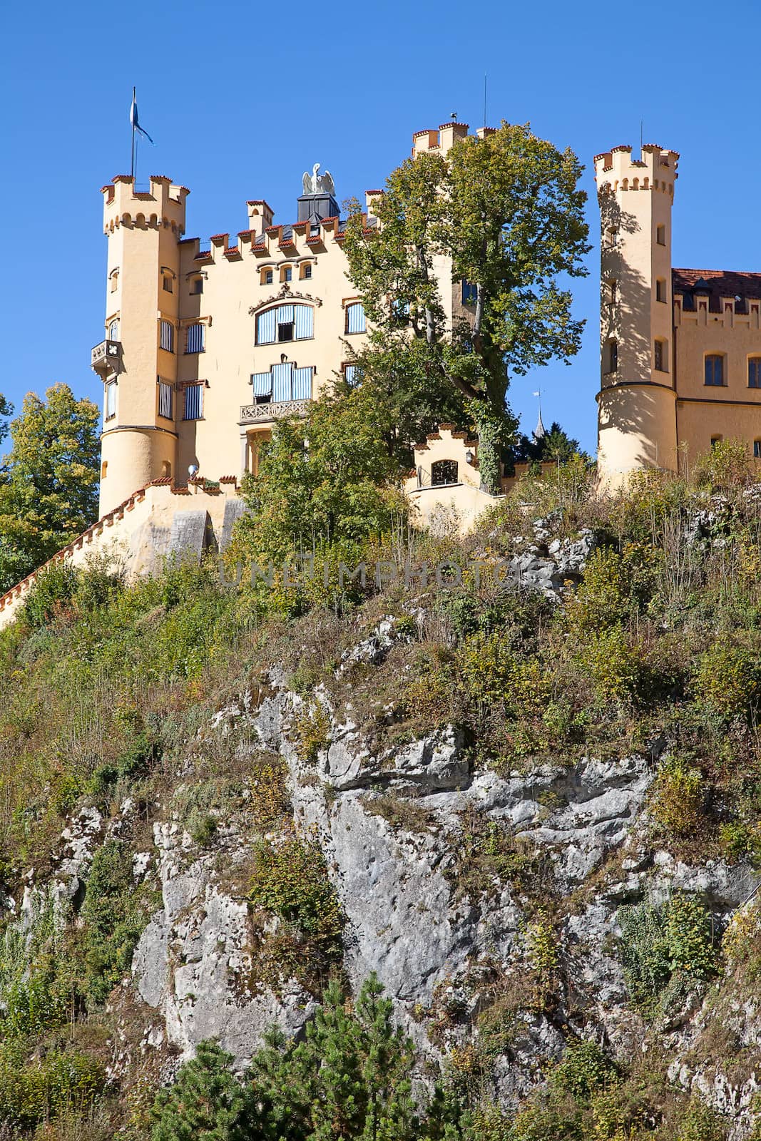 Hohenschwangau castle by swisshippo