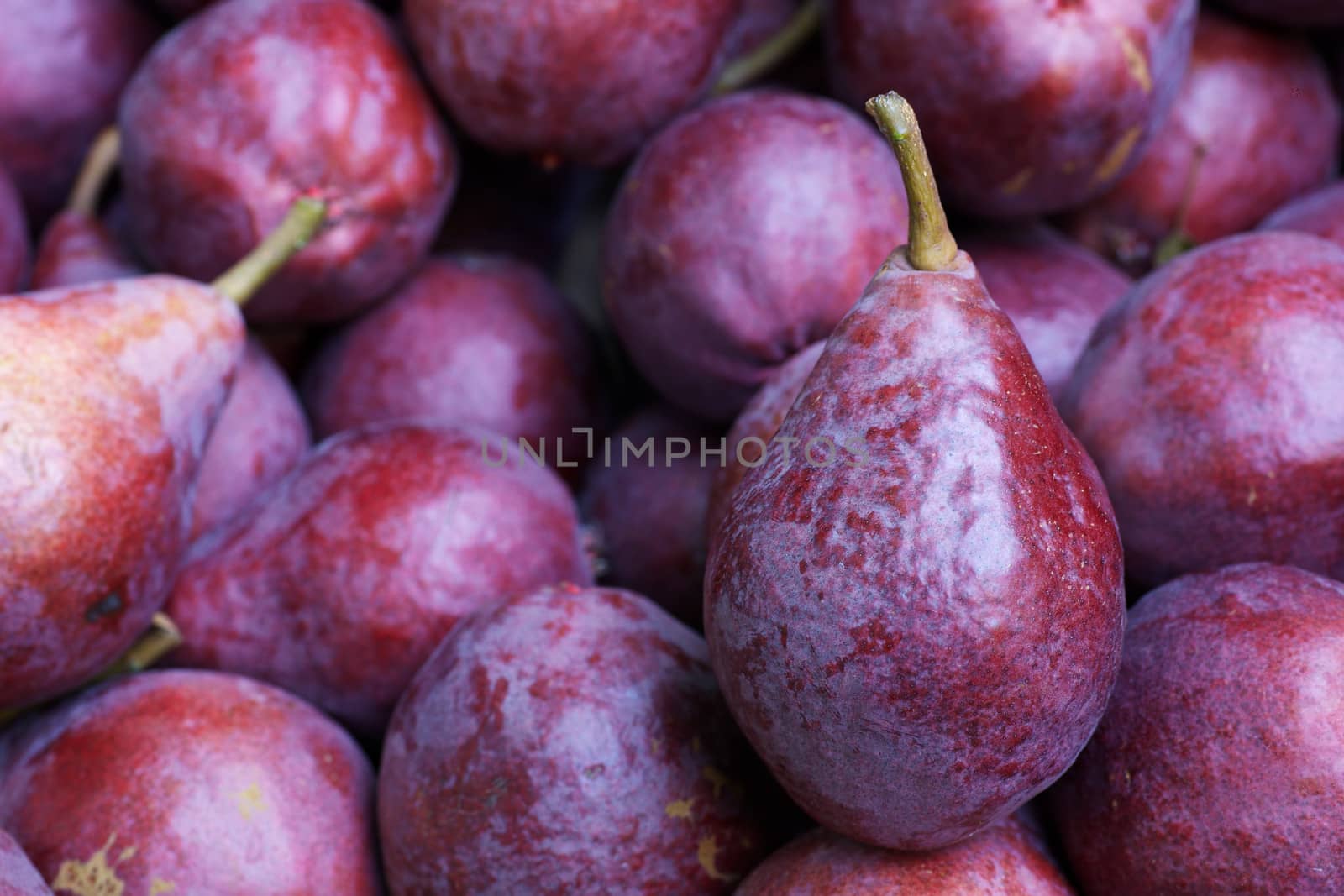 Close up of a pile of Dark Crimson Anjou pears at the farmers market