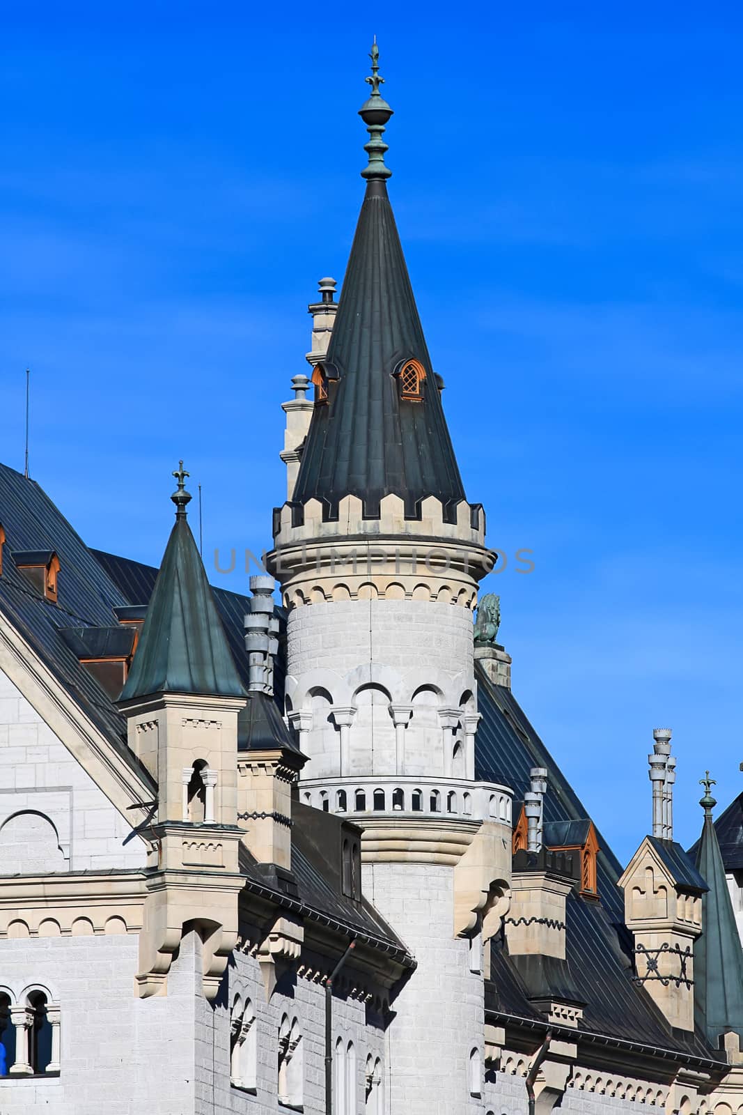 Elements of decoration of the Neuschwanstein castle in Bavarian alps, Germany