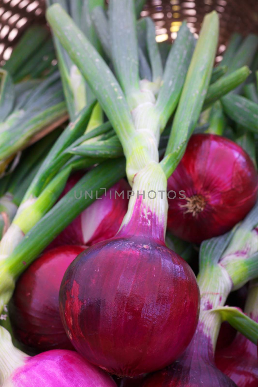 Red onions by bobkeenan