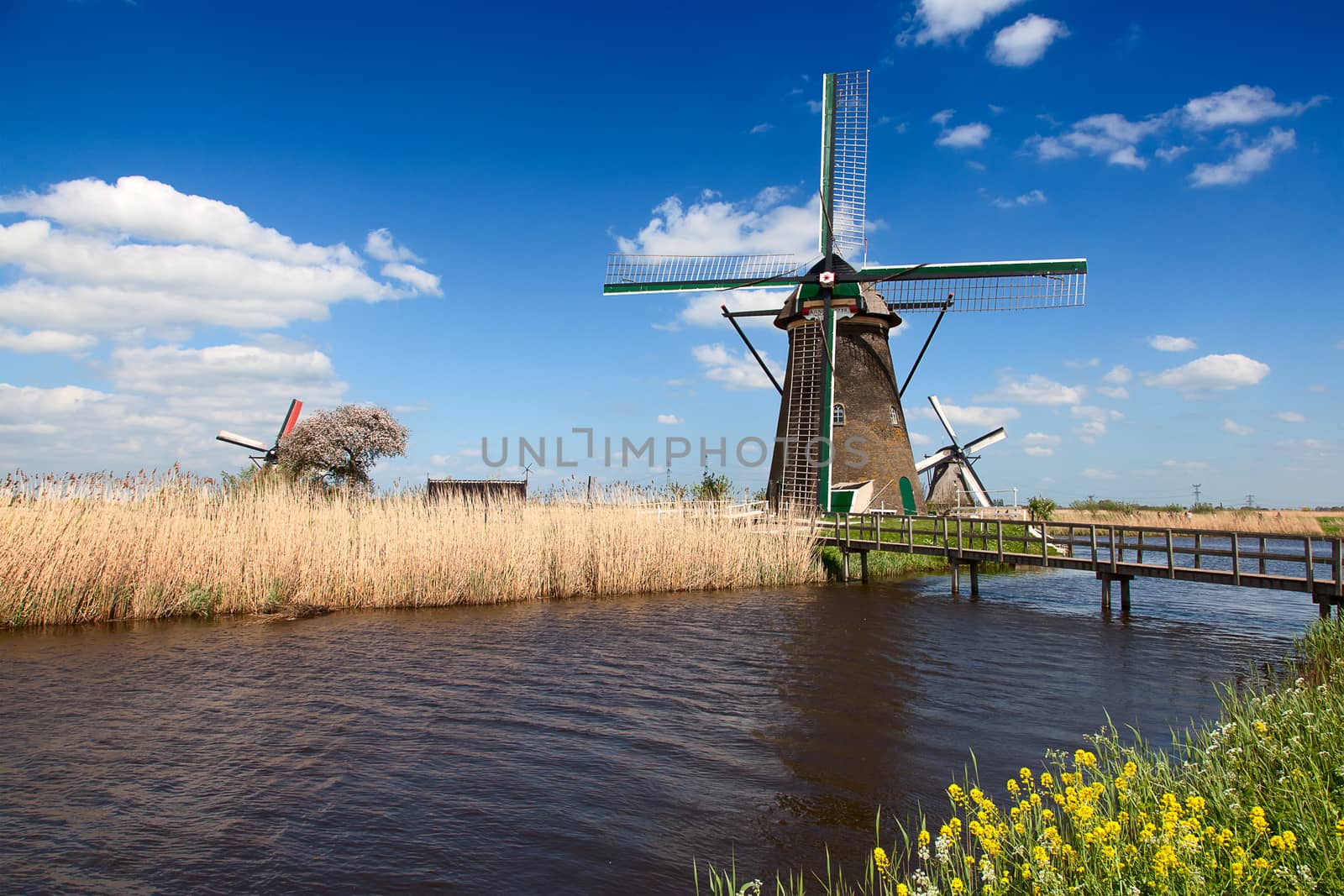 Ancient windmils near Kinderdijk, Netherlands