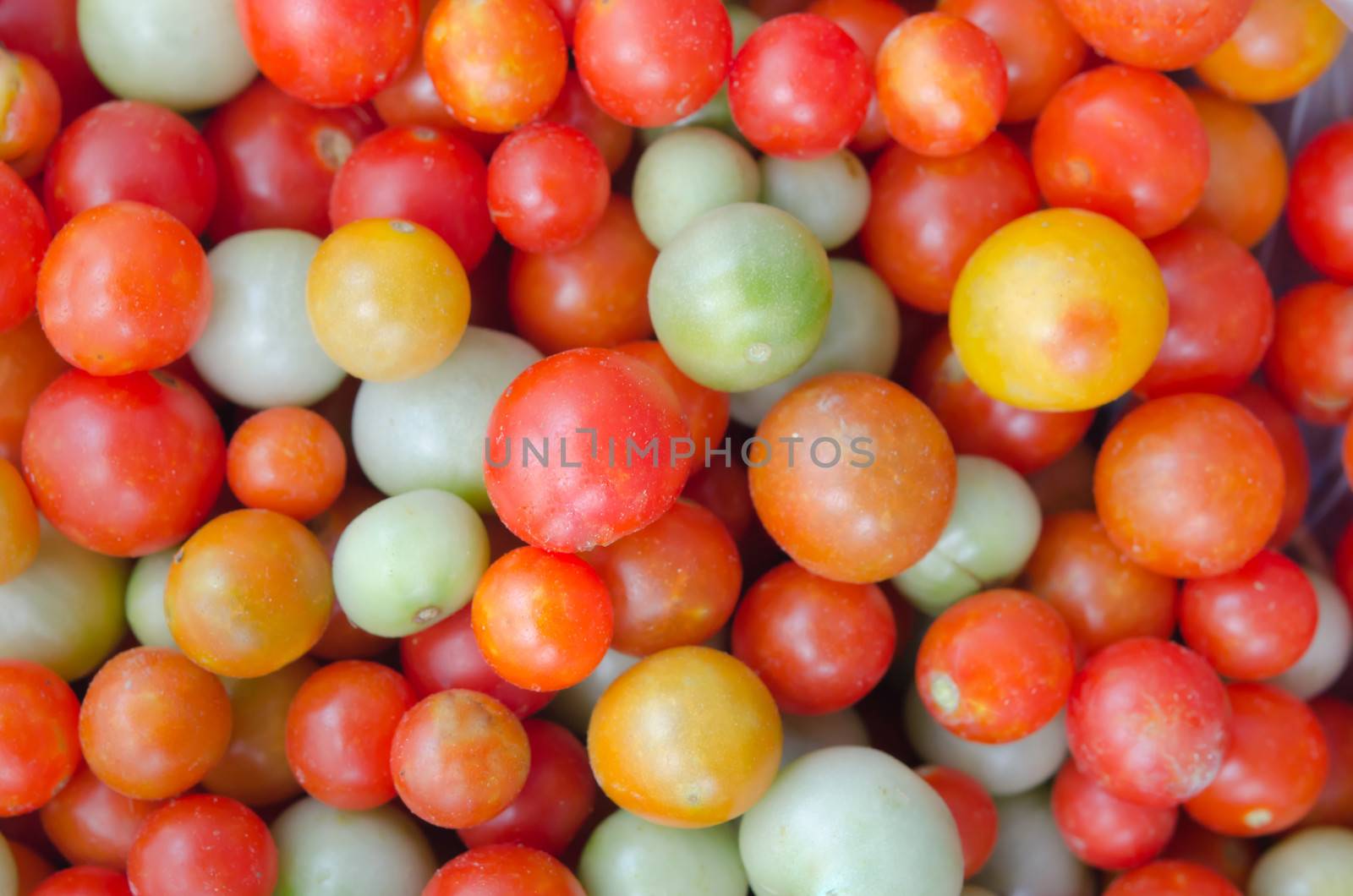 group of fresh tomatoes background