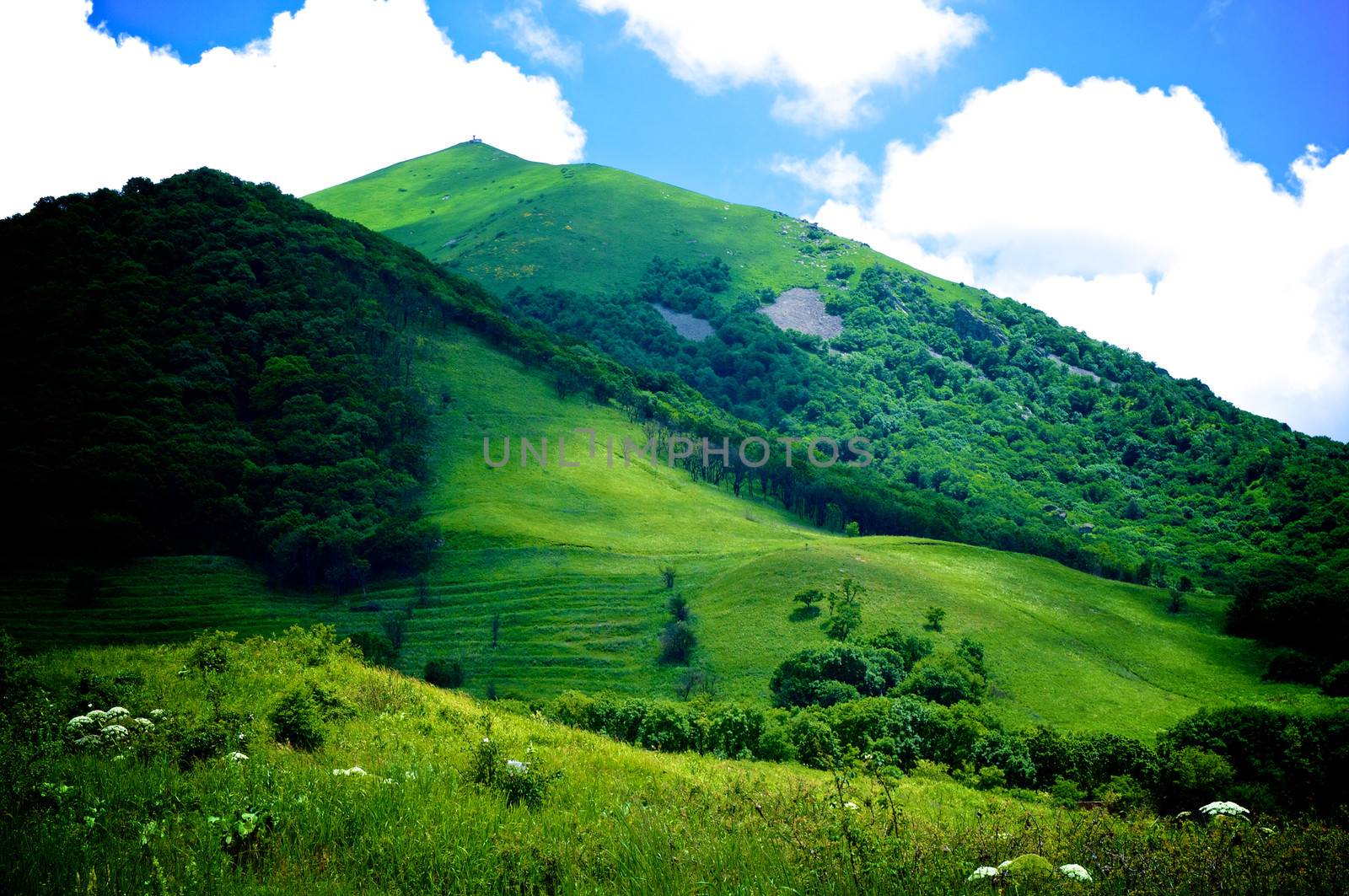 Green Hills by zhekos