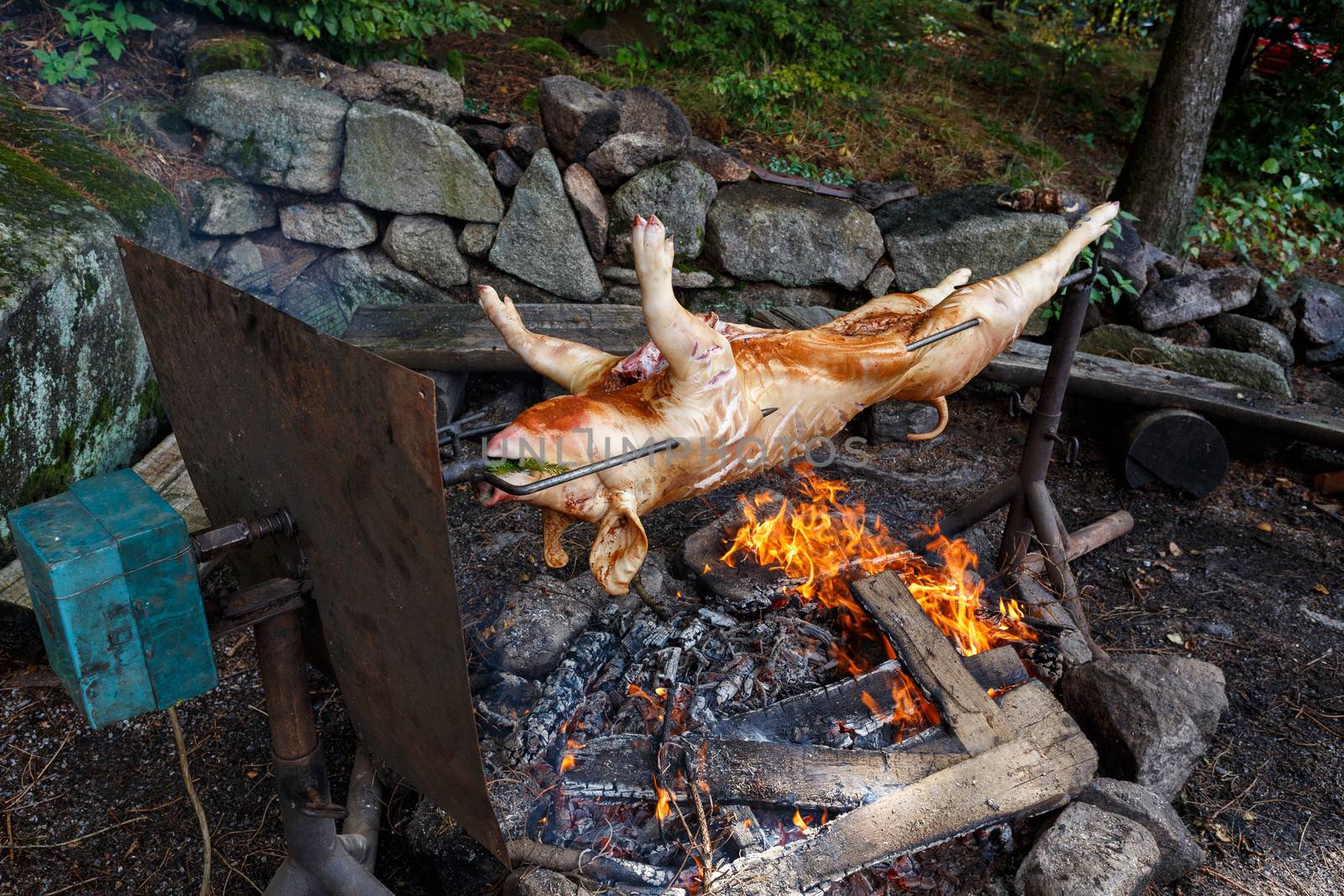 Outdoor roasting Pig on the grill in the open fire