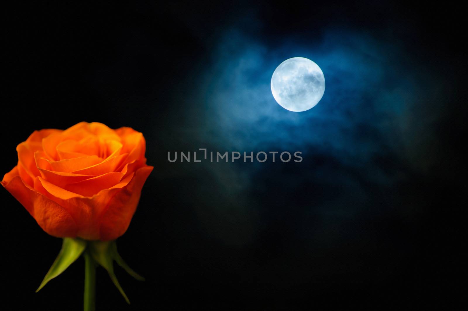 Orange rose and dramatic clouds with full moon. With texture on background