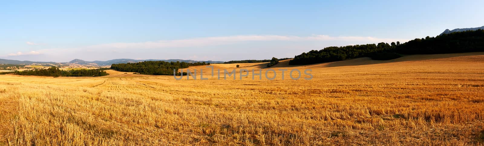 Panorama of fields after harvest in late August in Alava, Spain