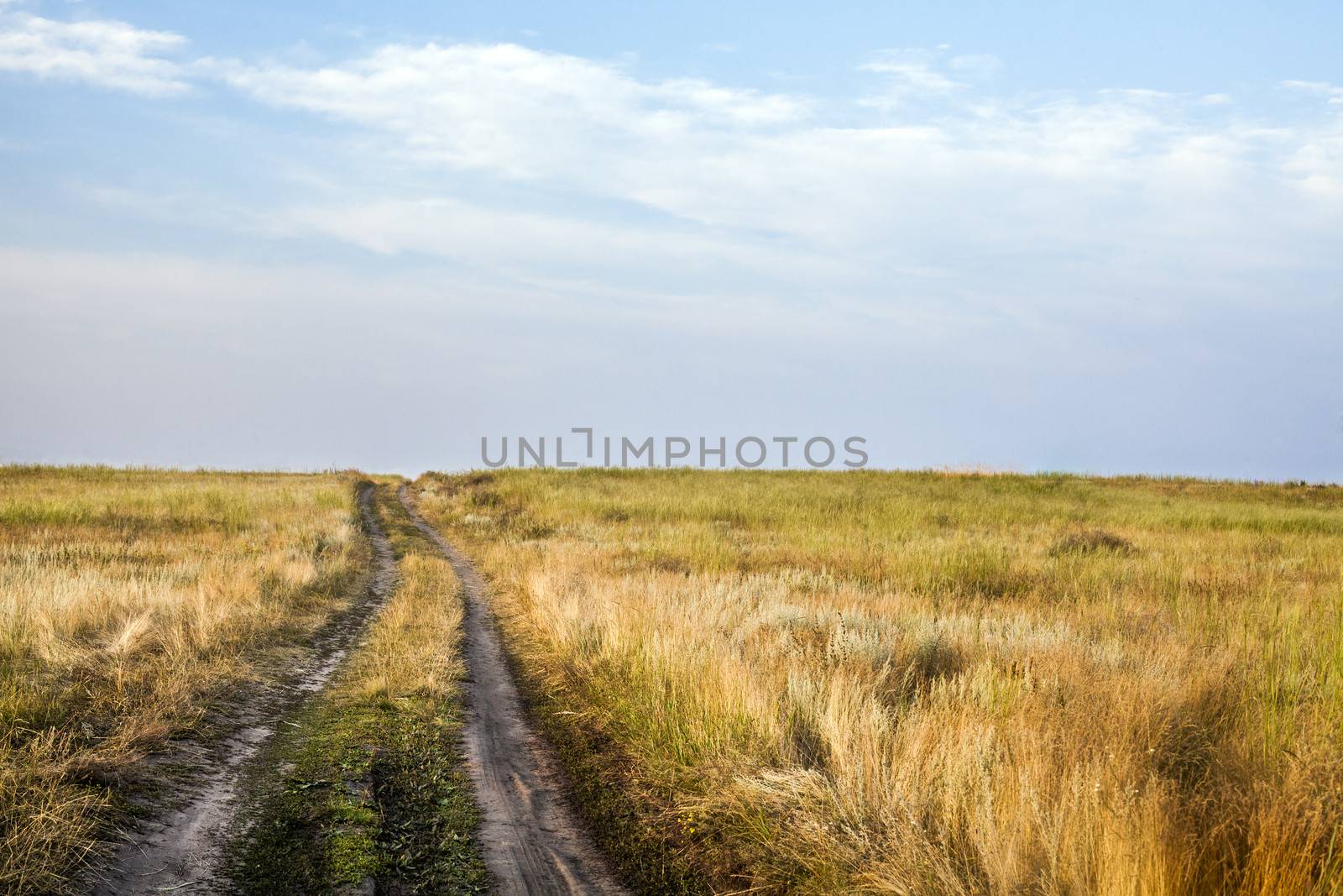 landscape with a dark sky and a country road