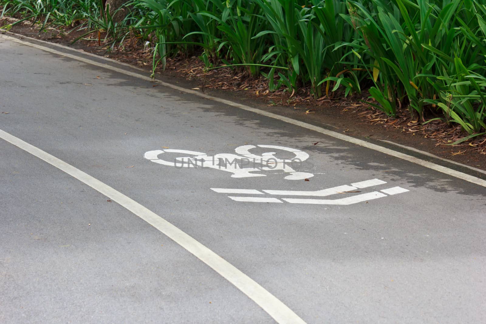 Bike Lane Sign