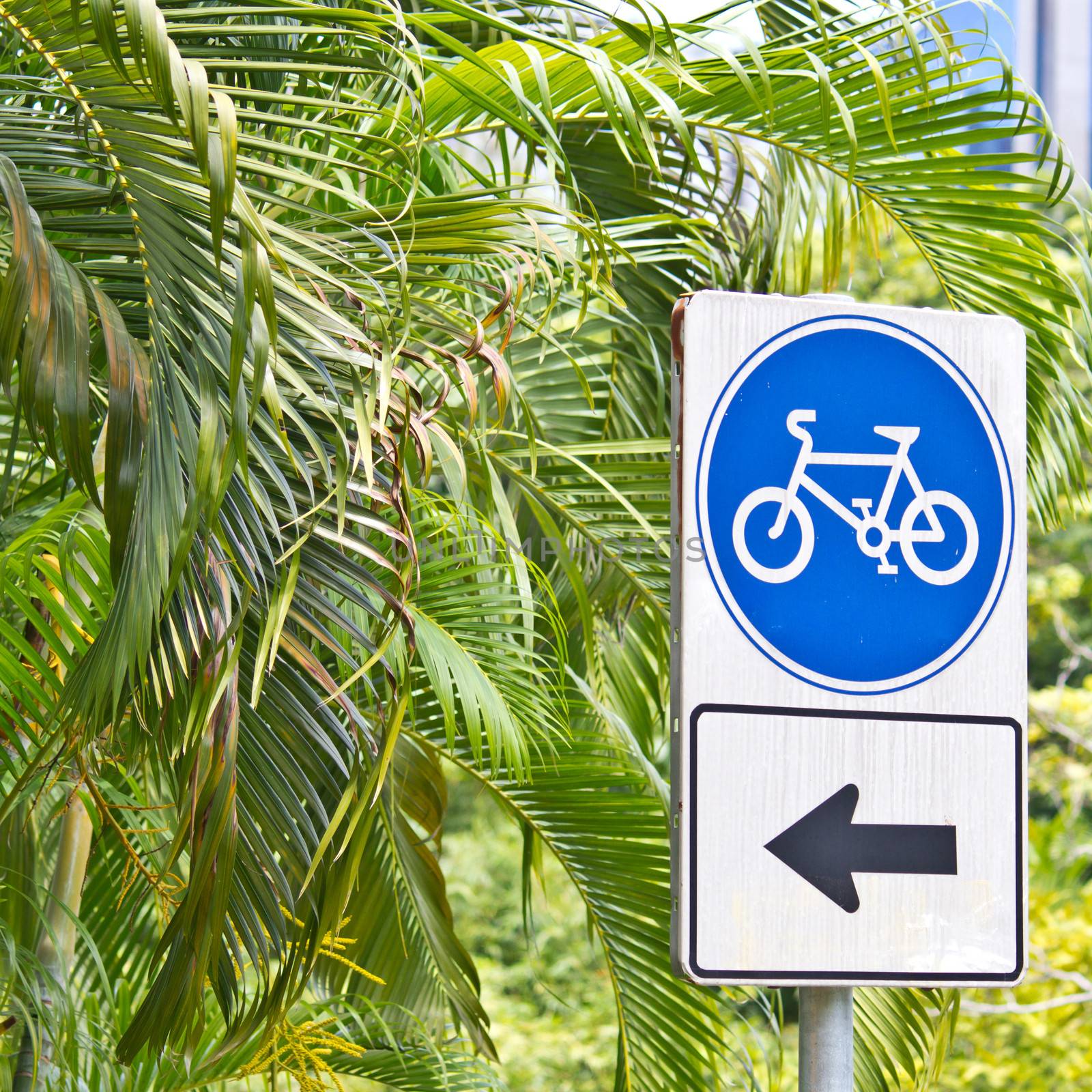 Bicycle sign in the park