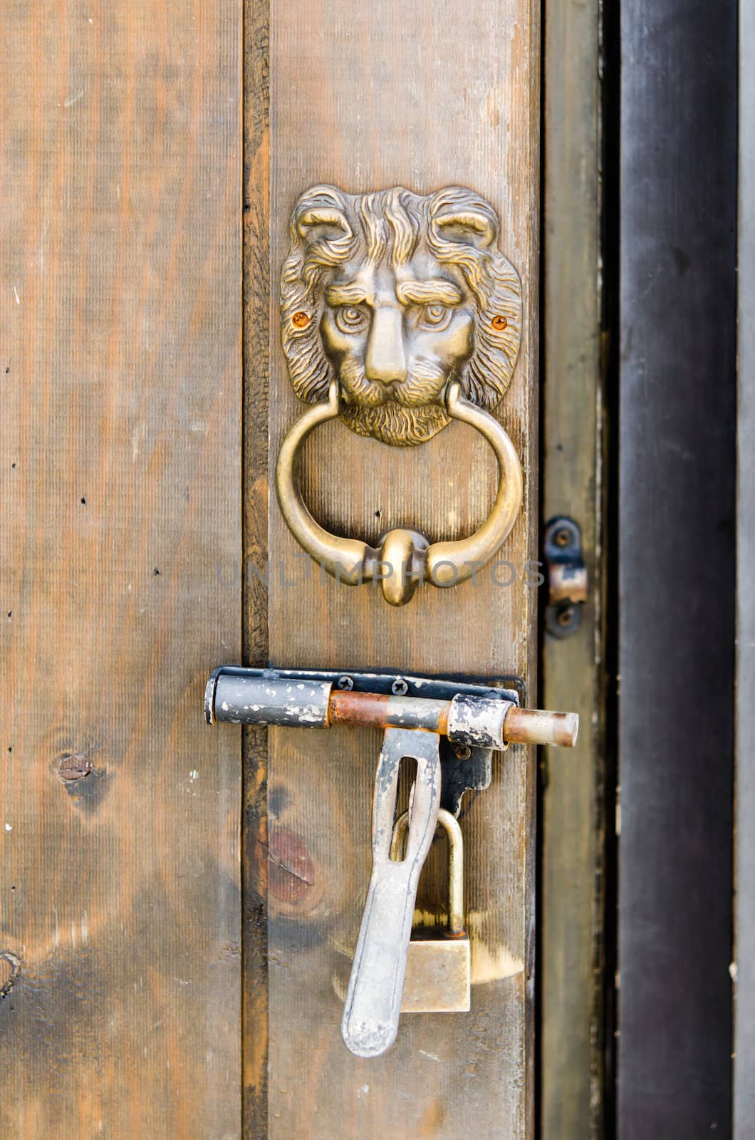  KNOCKER DOOR by aoo3771