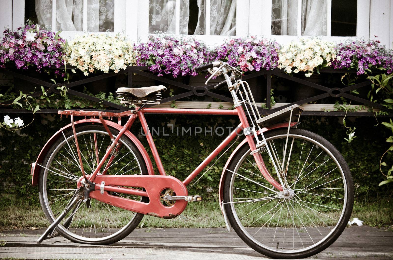 Bicycle and flowers. by aoo3771