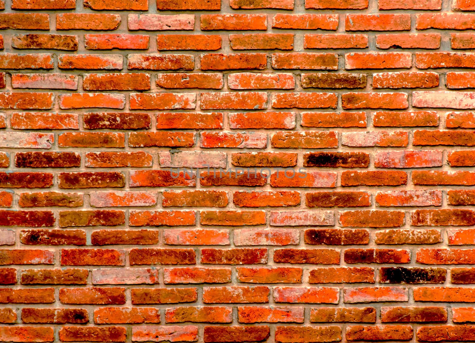 Orange brick wall, perfect as a background, square photograph