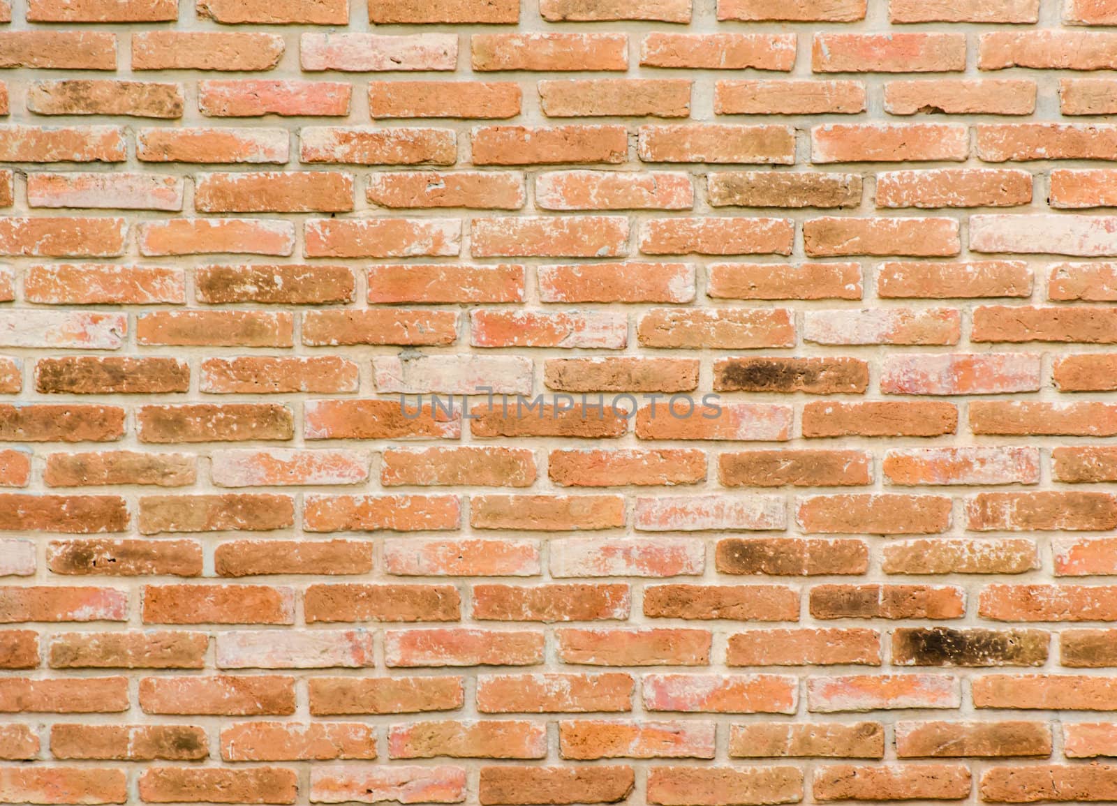 Orange brick wall, perfect as a background, square photograph