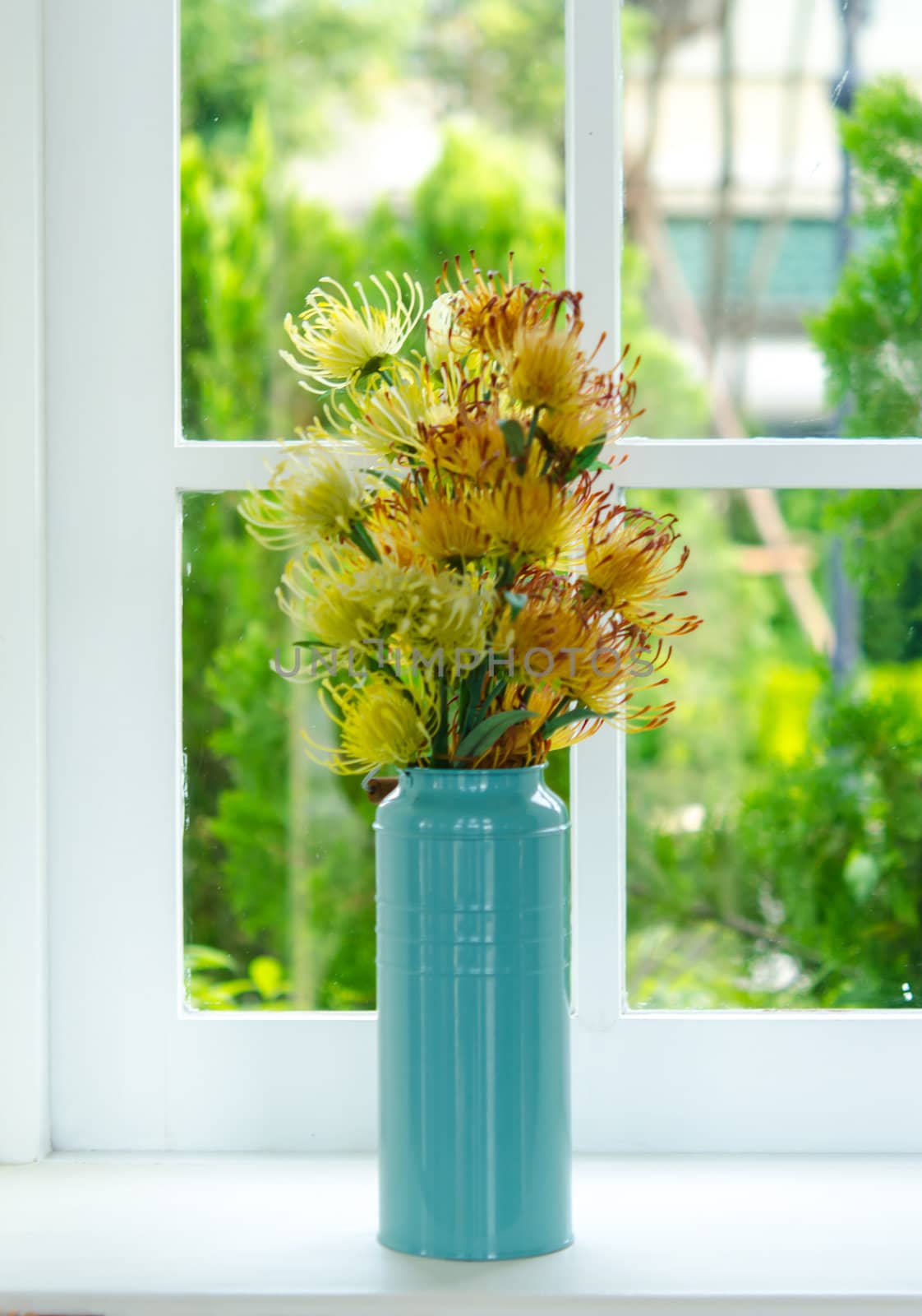 Flowers in a blue vase near the window