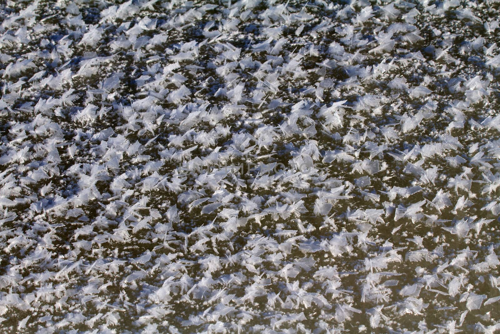 patterns on sea ice in a hard frost