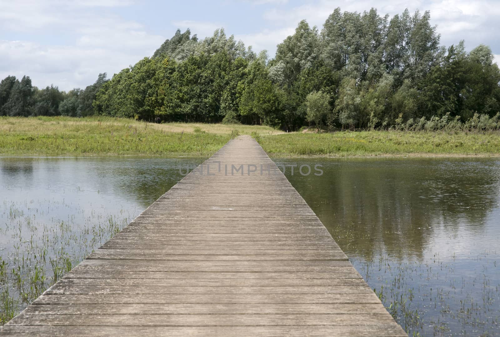 wooden mooring in the water in holland