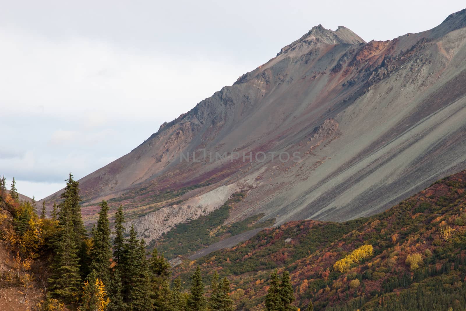 Rainbow colors cascade down mountain slopes