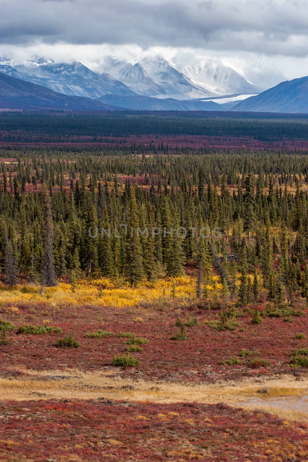 Receding glaciers and fall tundra combined into beautiful landscape
