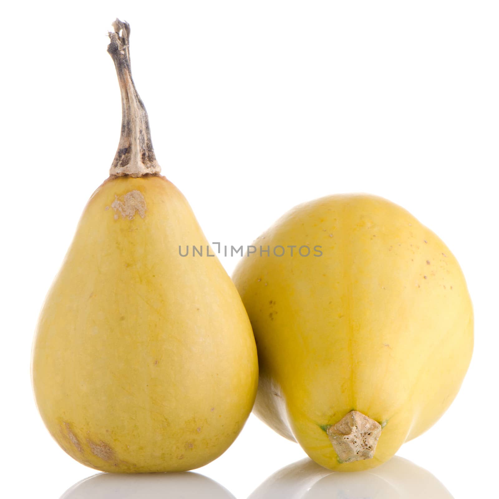 Closeup detail of yellow pumpkins on white reflective background.