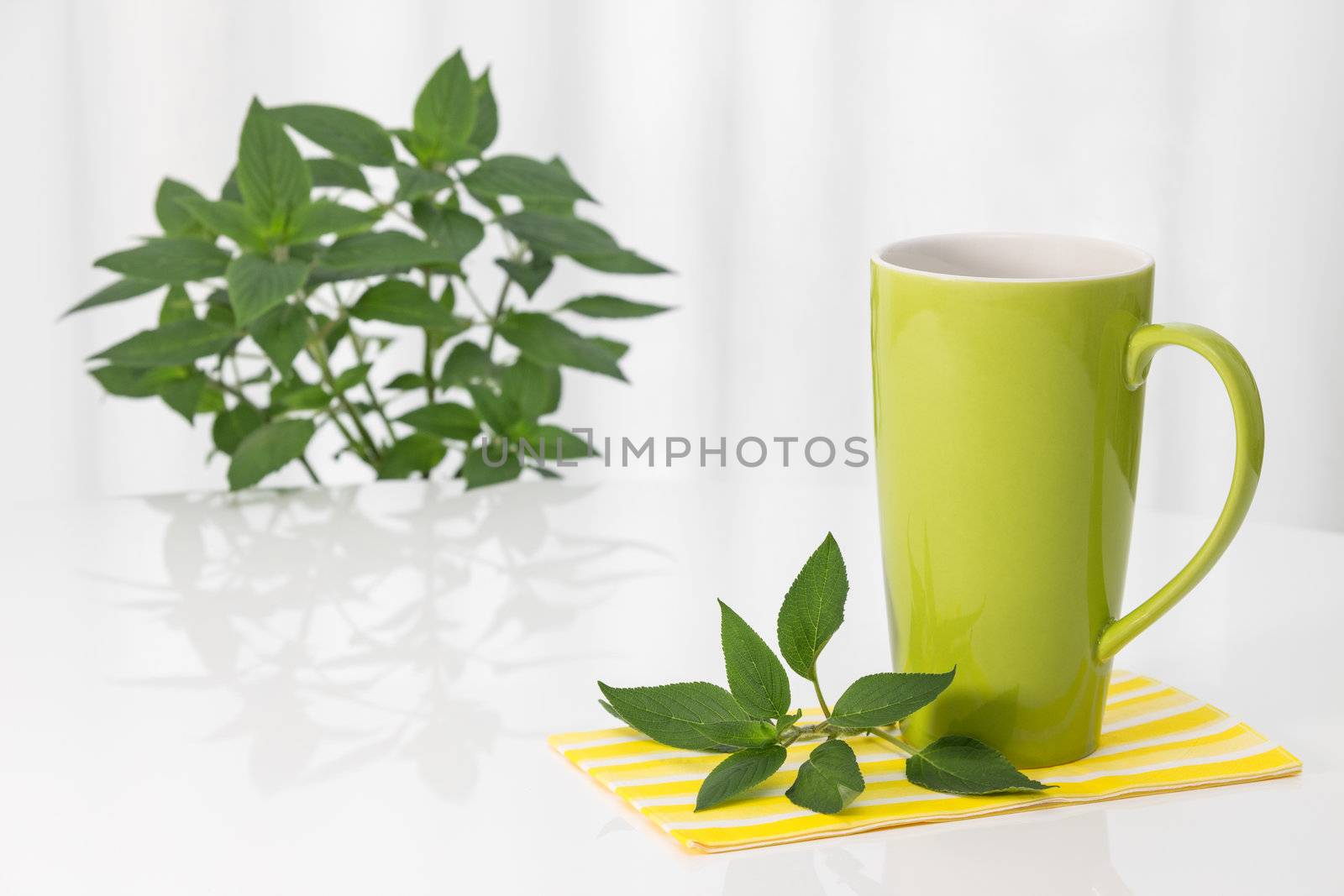 Big green teacup and fresh mint, on a white table.