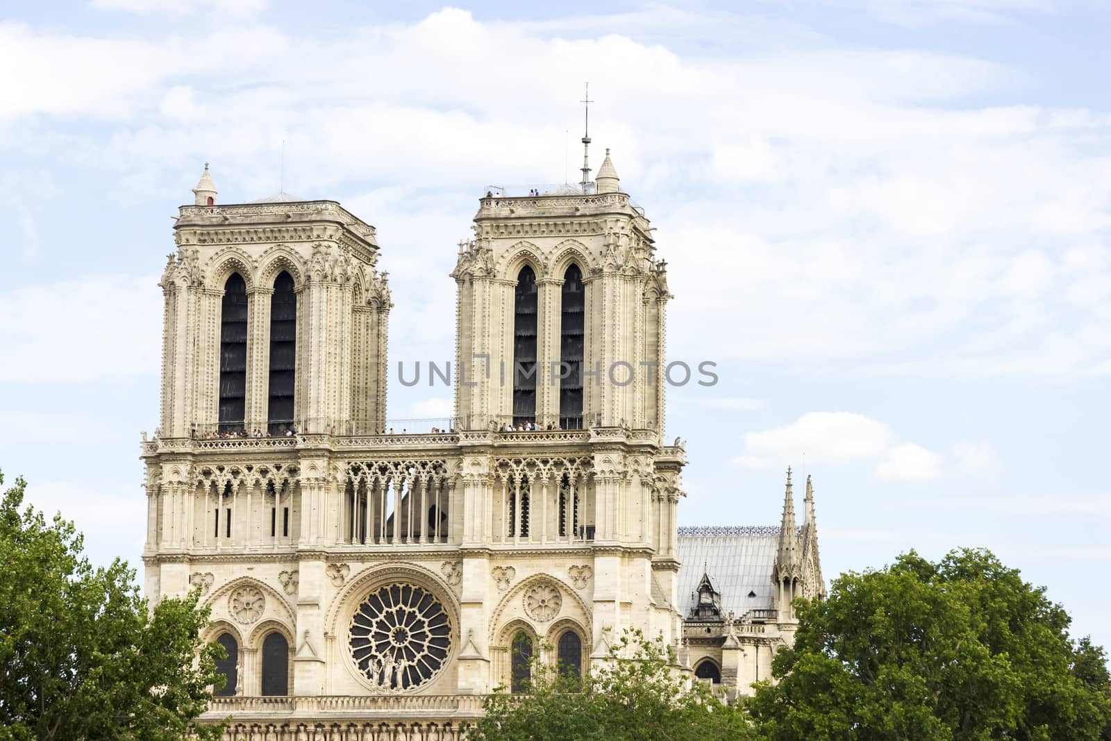 Notre Dame de Paris cathedral by Tetyana