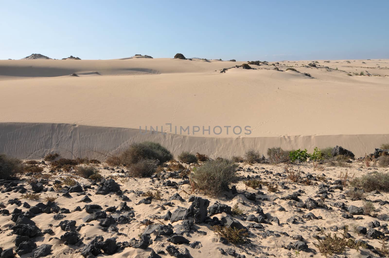 Starting point of the desert , in Canary Islands, Spain