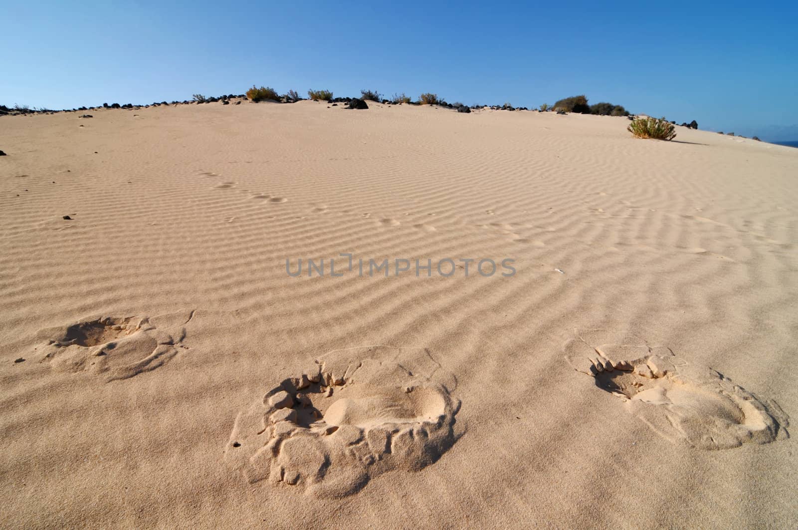 Footsteps in the desert , in Canary Islands, Spain