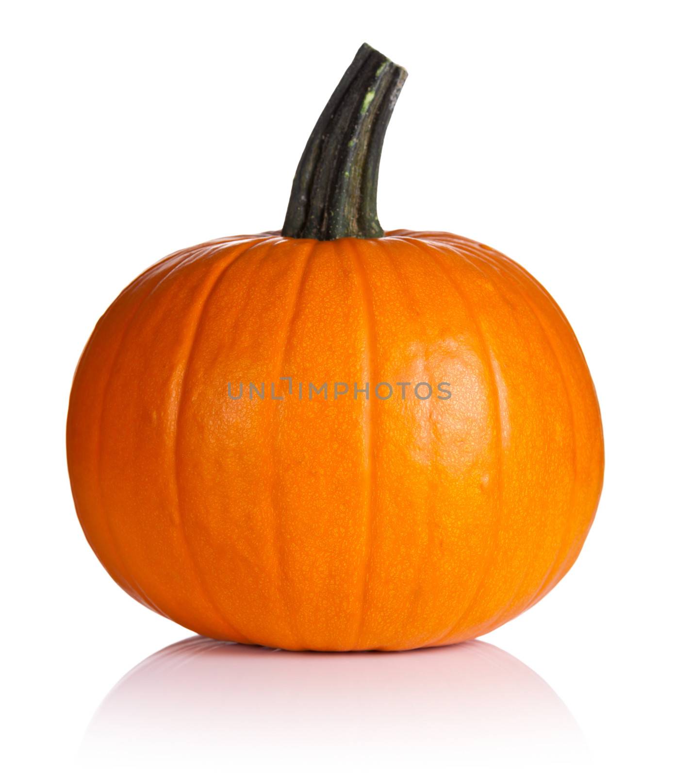 Pumpkin vegetable on white background. Fresh and ripe