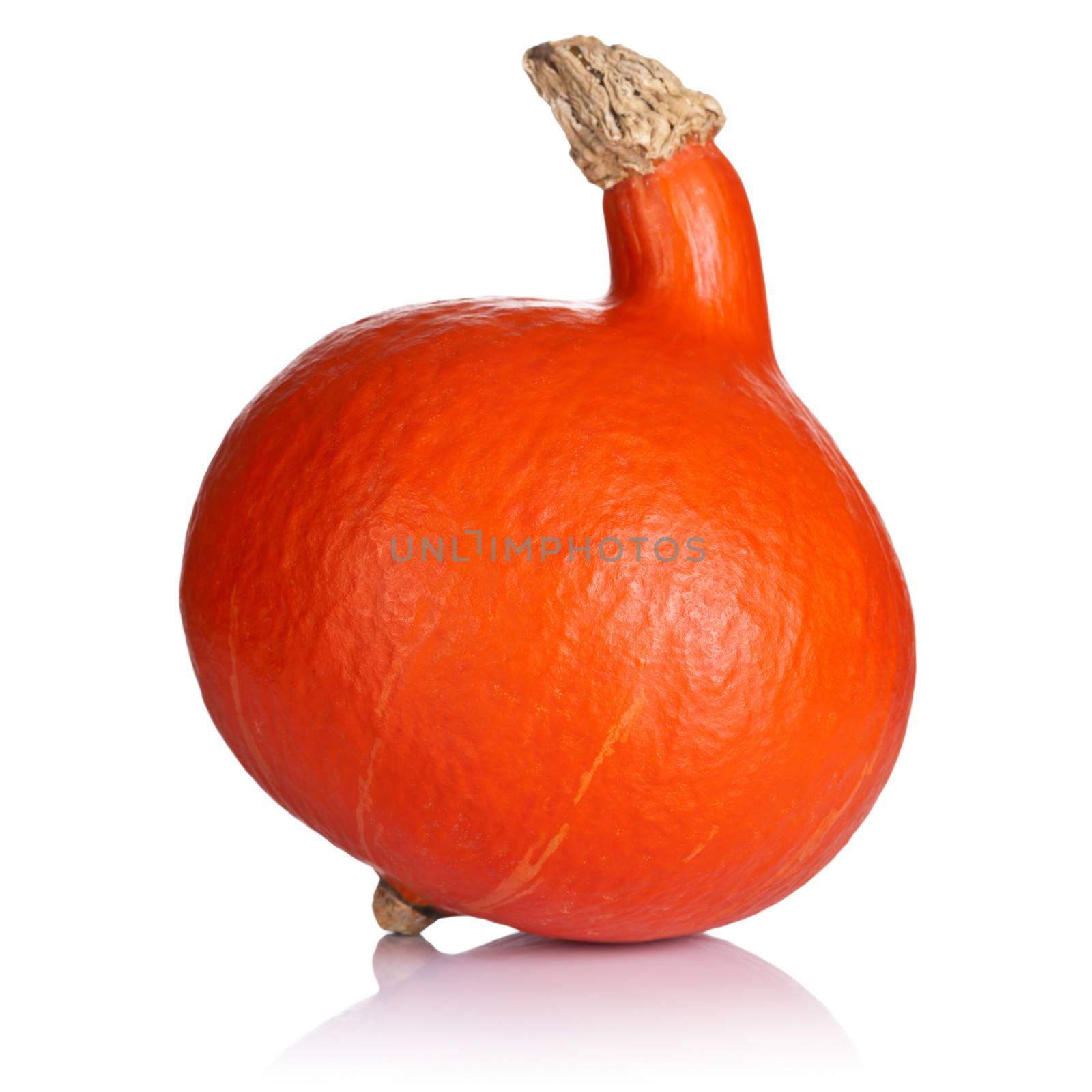 Orange pumpkin on white background. Fresh and ripe