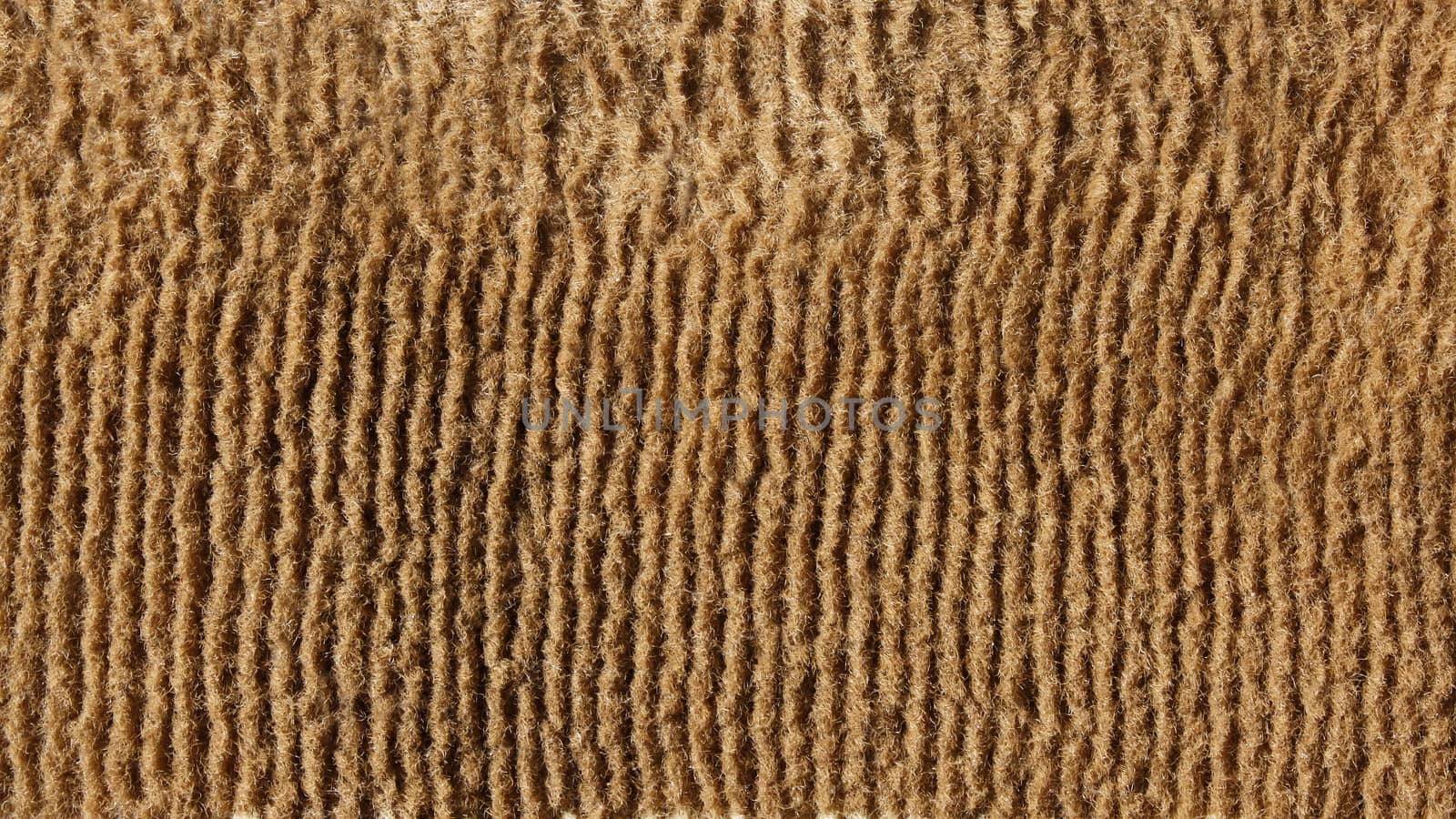 Fragment the surface of old beige fluffy floor carpet