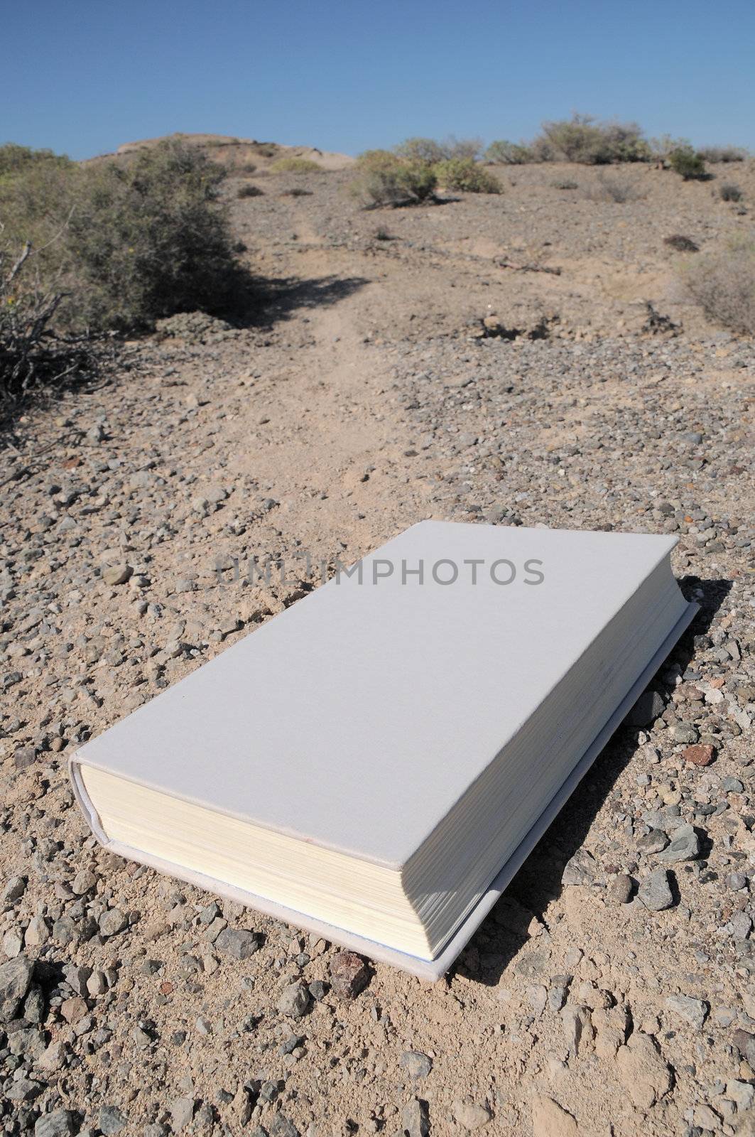 Empty Book on a road in the desert 