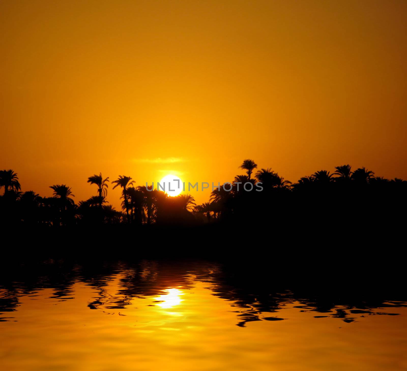 Hot sunset on Nile in Egypt