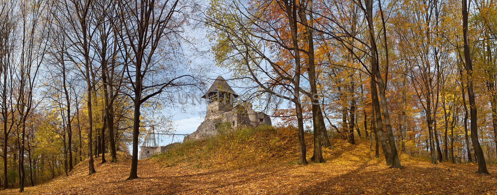 Panorama of old castle in autumn forest by palinchak