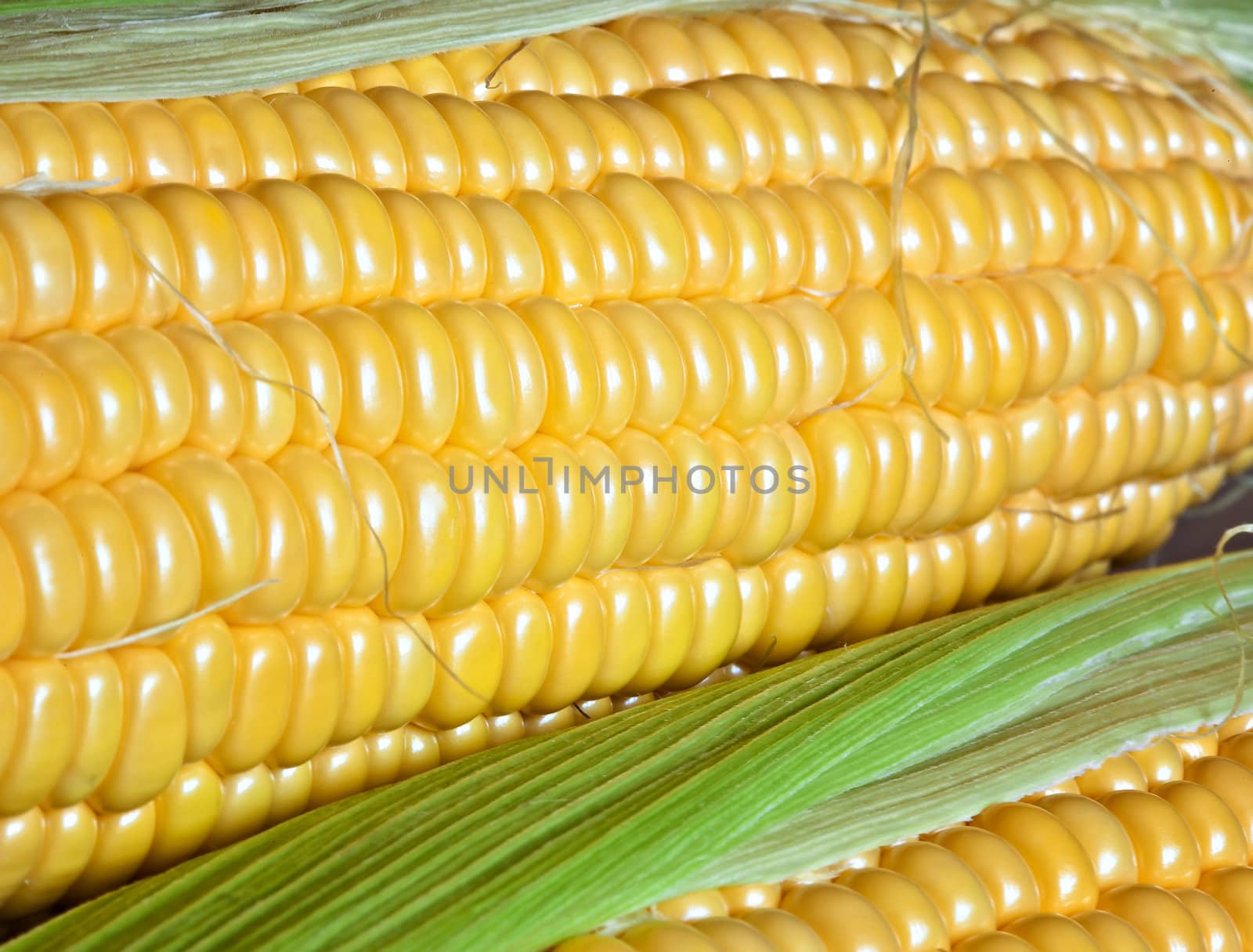 Corn on the cob