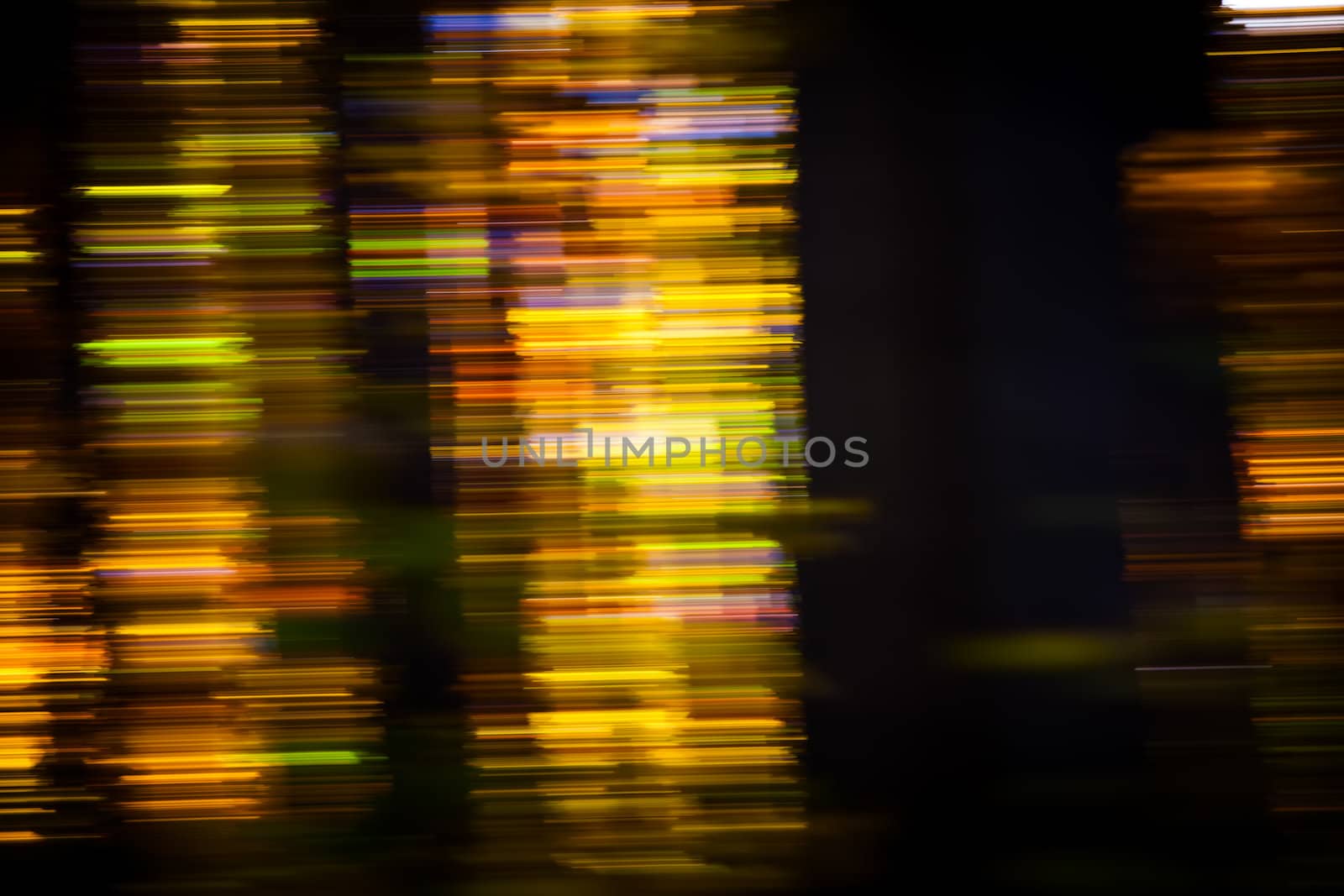 Motion blur of trees in an autumn forest by palinchak