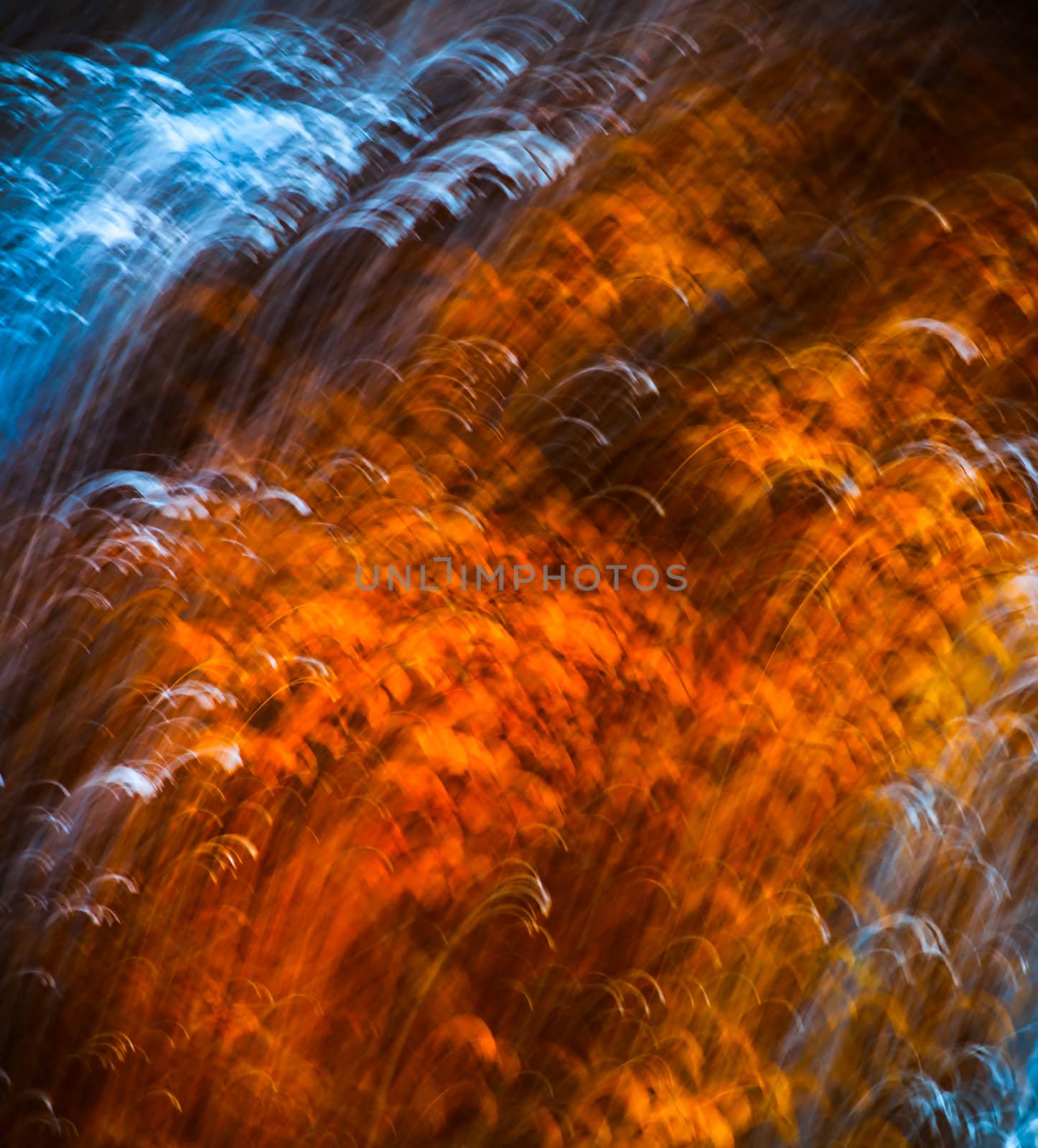 Motion blur of trees in an autumn forest by palinchak