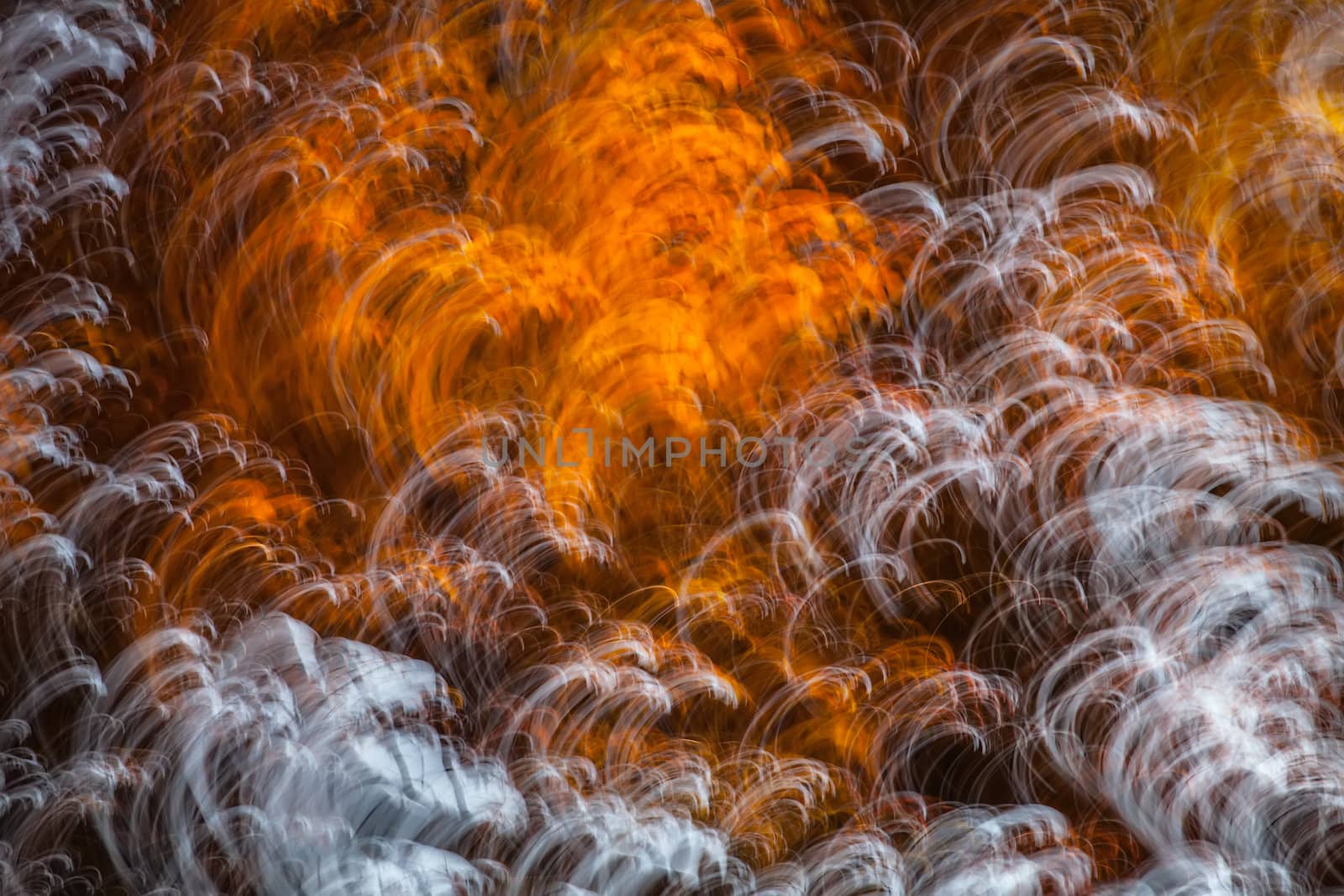 Motion blur of trees in an autumn forest by palinchak