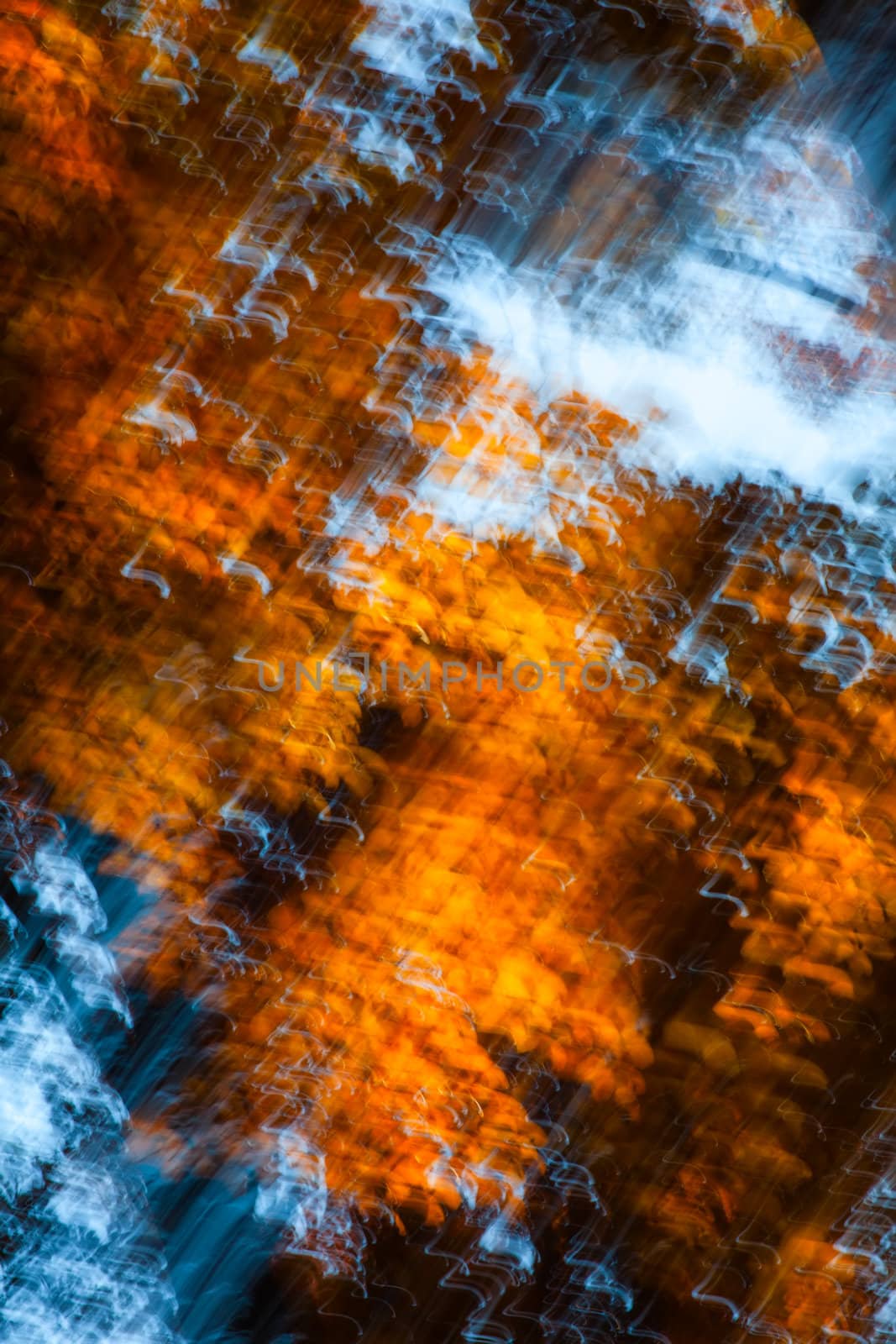 Abstract motion blur of trees in an autumn forest