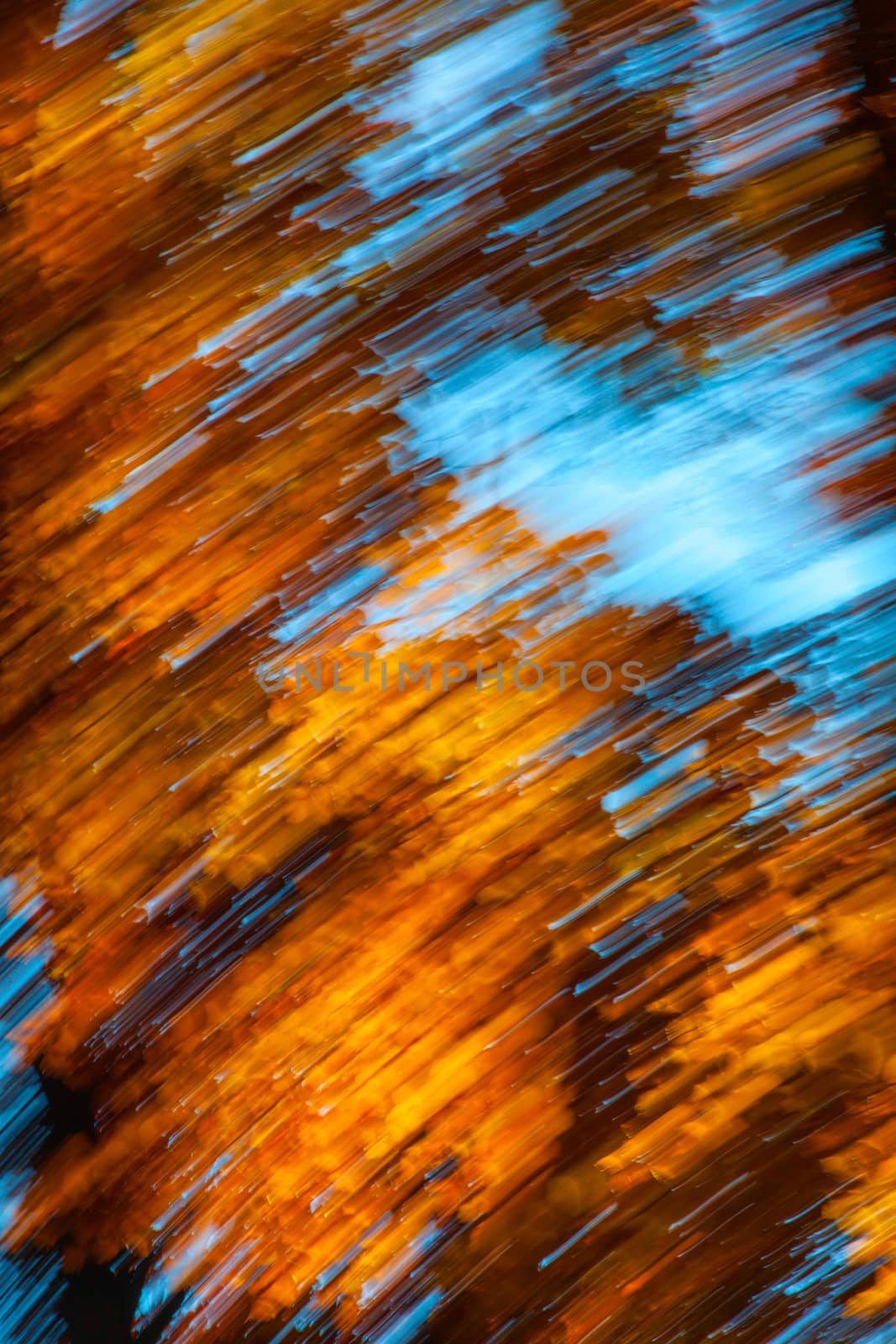 Abstract motion blur of trees in an autumn forest