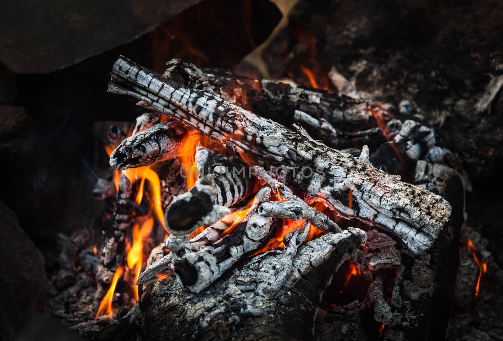 Bonfire. Closeup of hot burning wood, coals